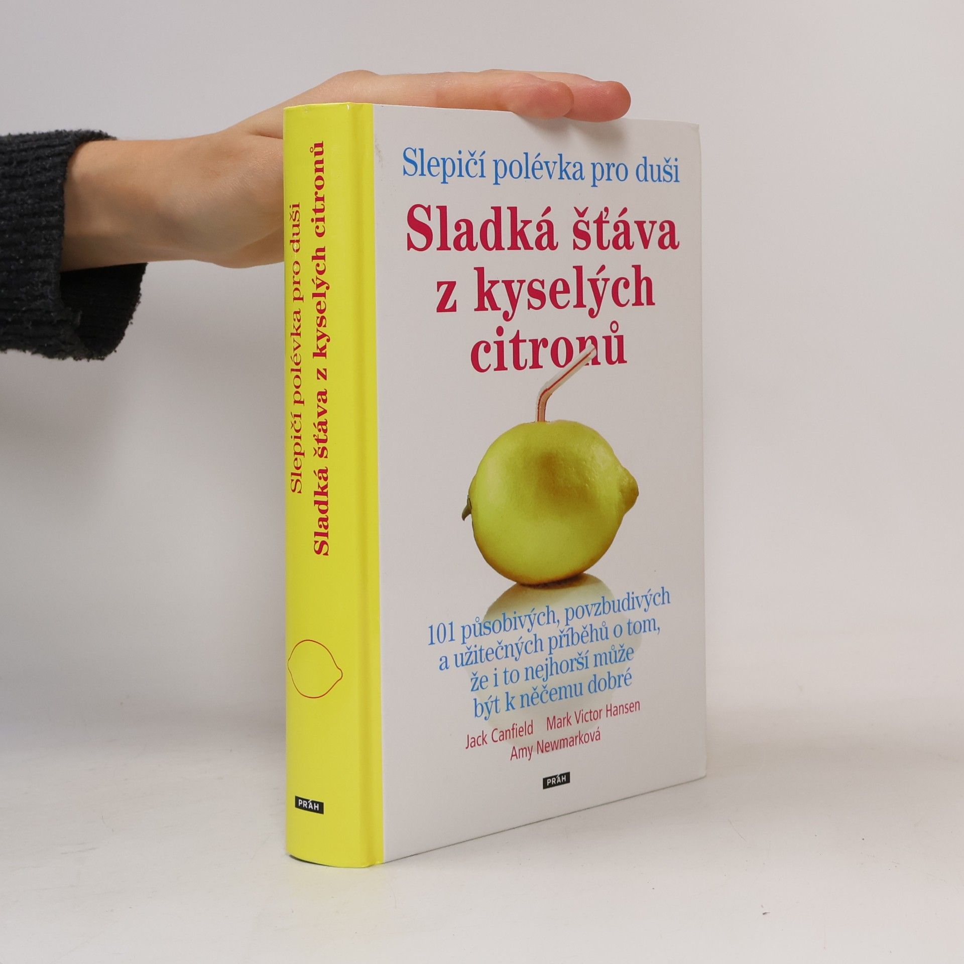 Amy Newmark Slepičí polévka pro duši : sladká šťáva z kyselých citronů