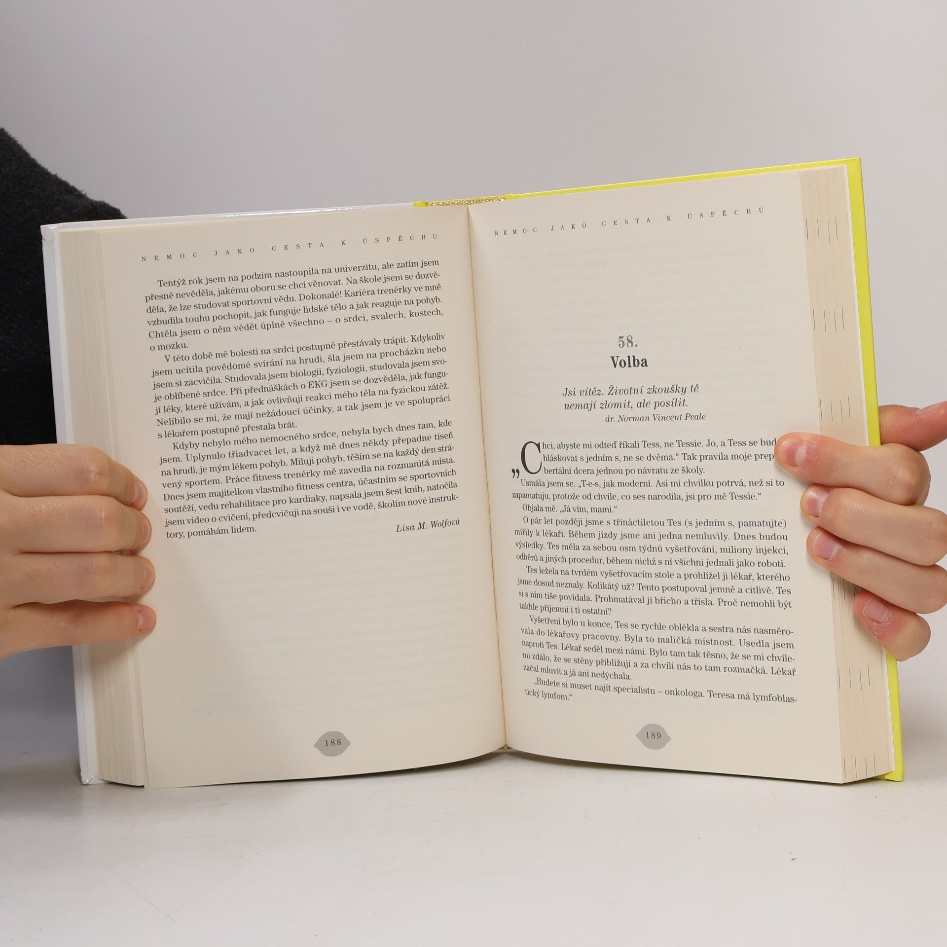 Jack Canfield Slepičí polévka pro duši : sladká šťáva z kyselých citronů