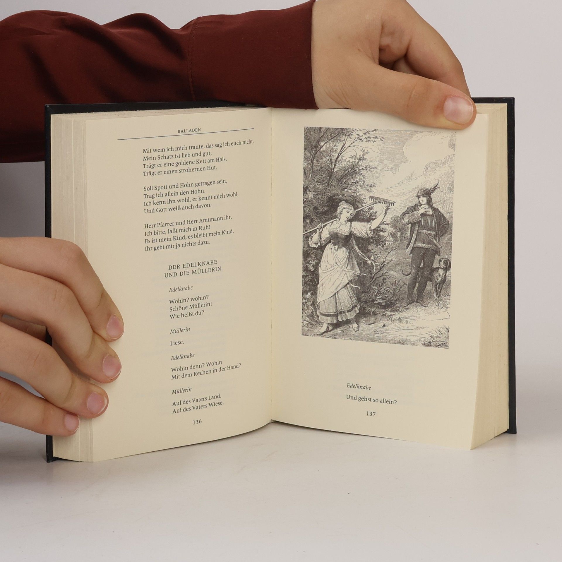 Johann Wolfgang von Goethe Die schönsten Gedichte