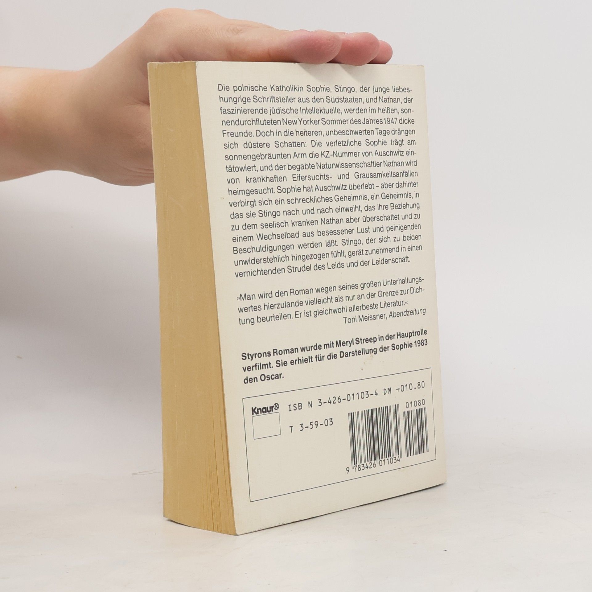 William Styron Sophie's Entscheidung