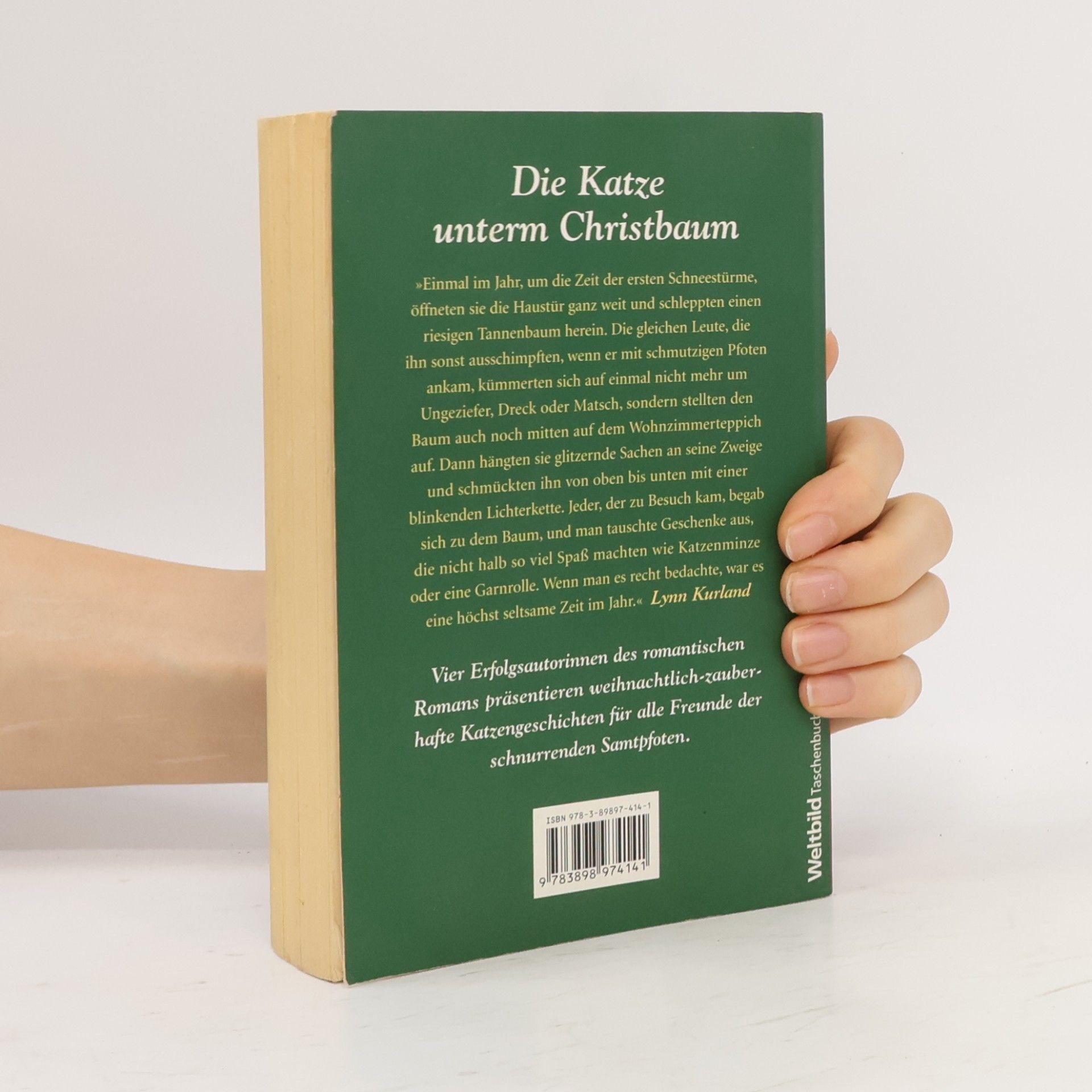 Julie Beard Die Katze unterm Christbaum