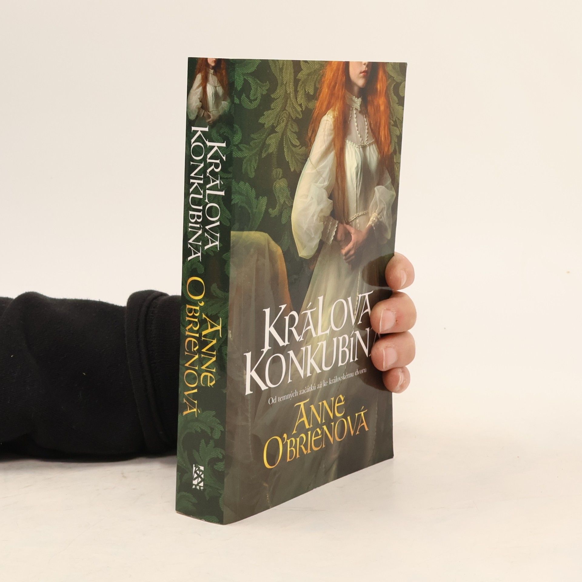 Anne O. Brien Králova konkubína