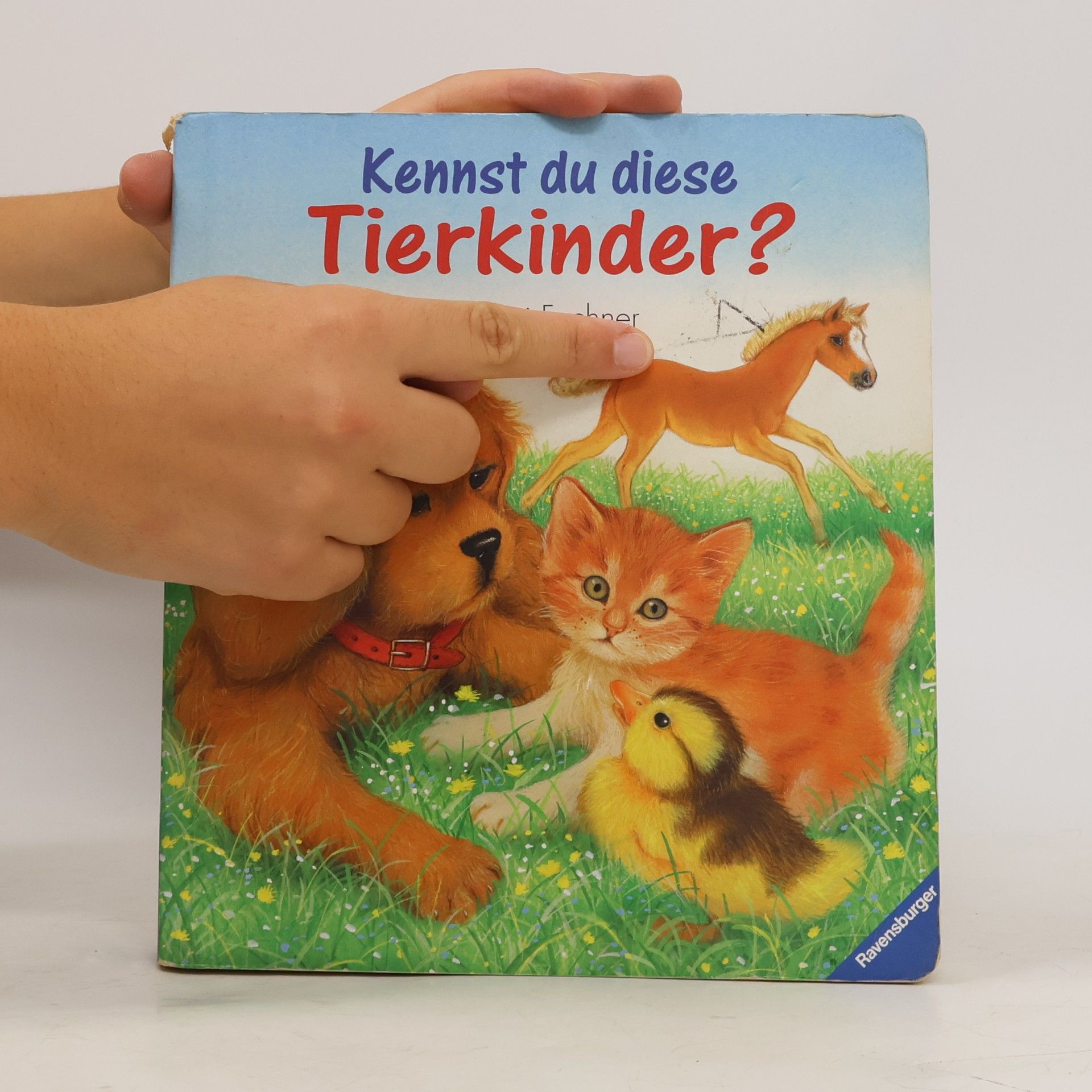 Amrei Fechner Kennst die diese Tierkinder?