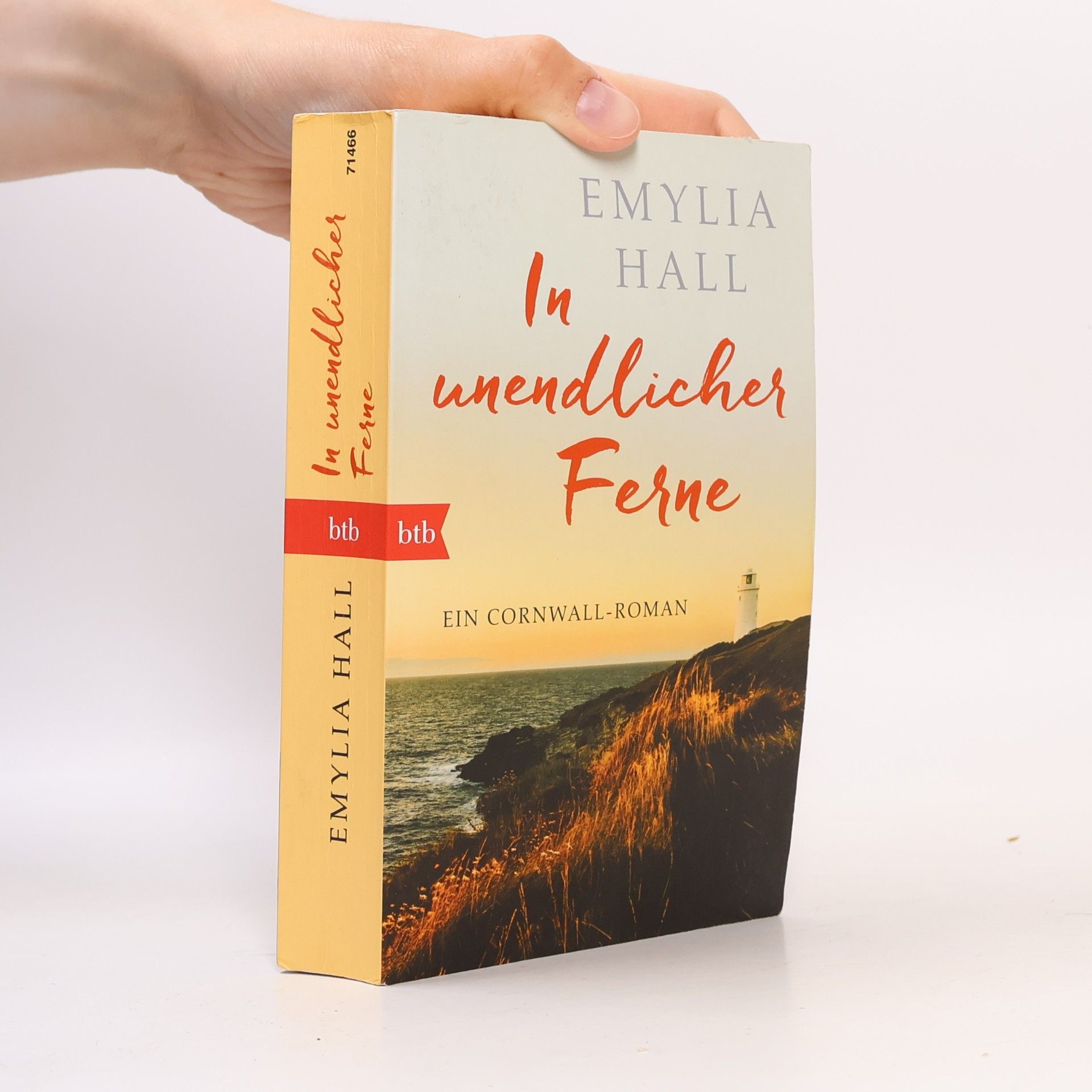 Emylia Hall In unendlicher Ferne