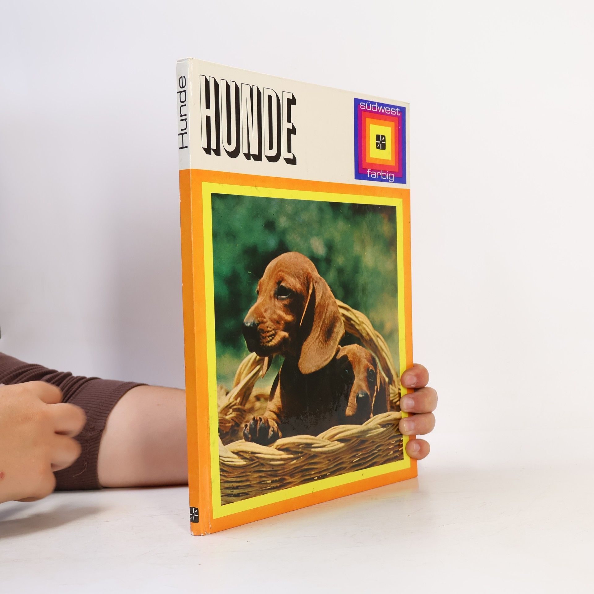 Autorenkollektiv Hunde