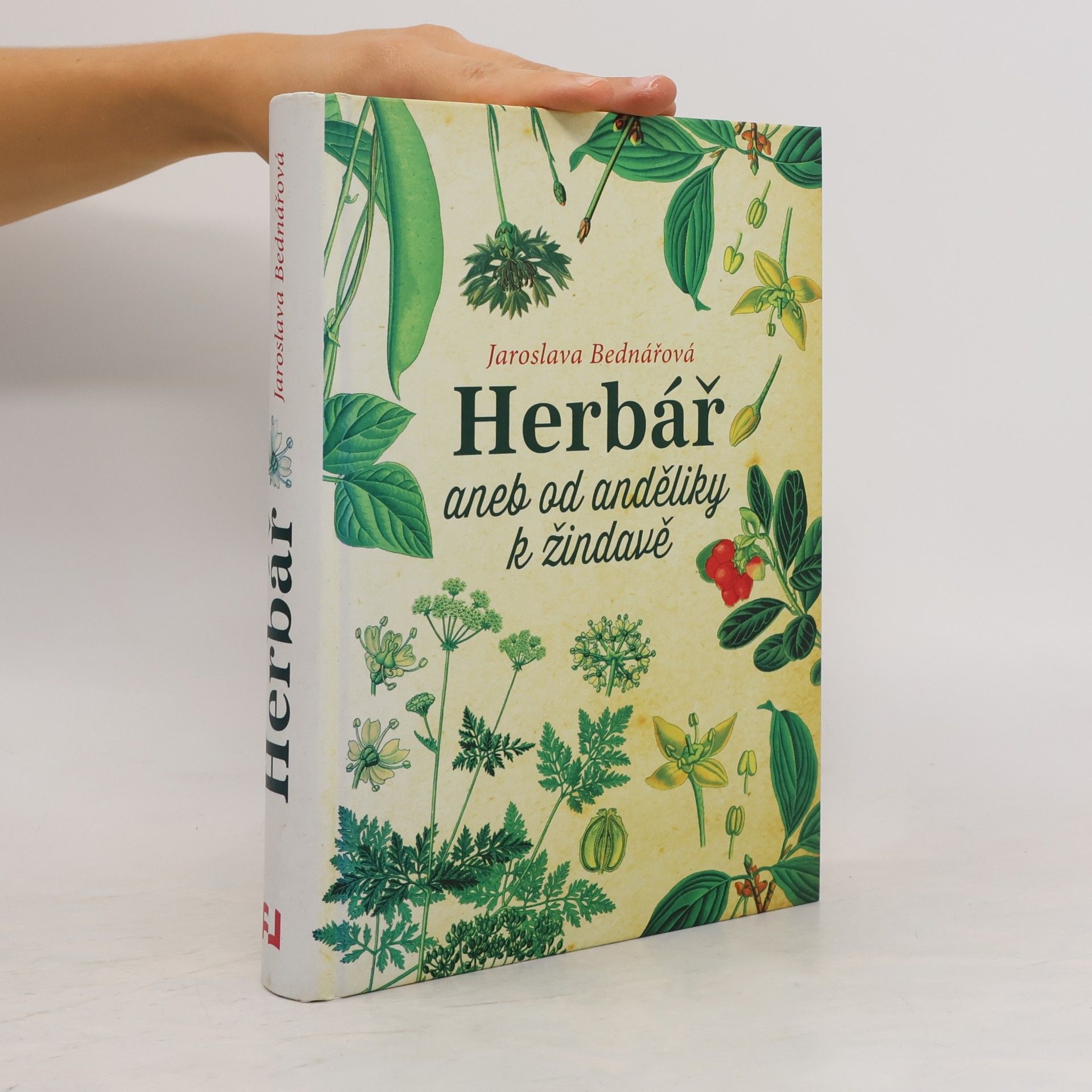 Jaroslava Bednářová Herbář, aneb, Od anděliky k žindavě