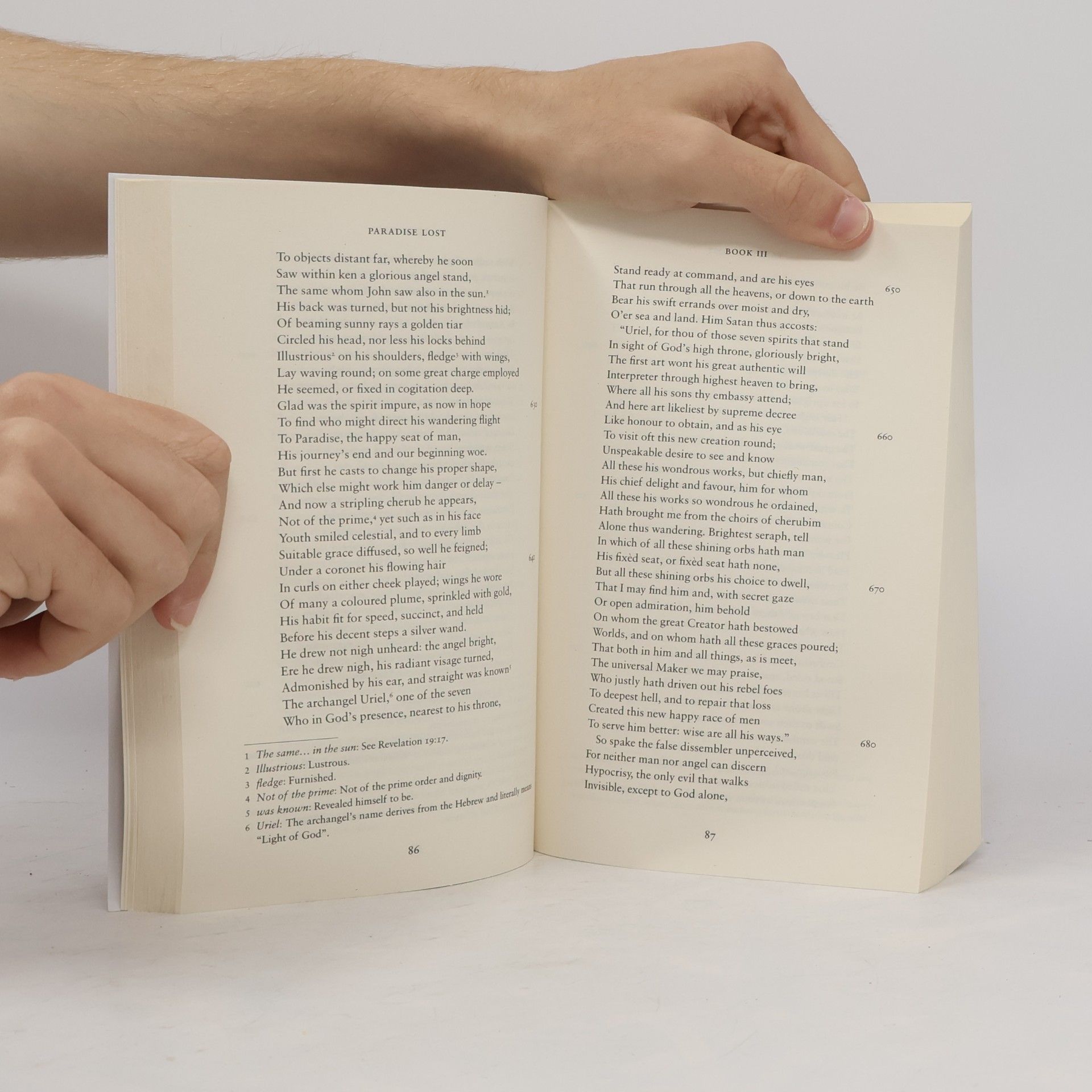 John Milton Paradise lost