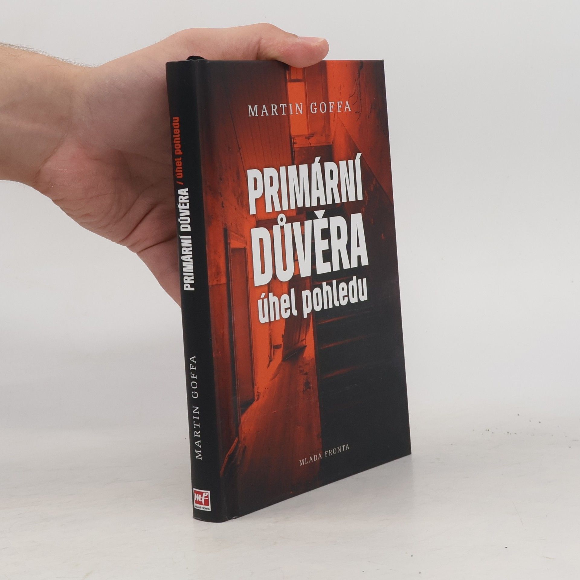 Primární důvěra - úhel pohledu