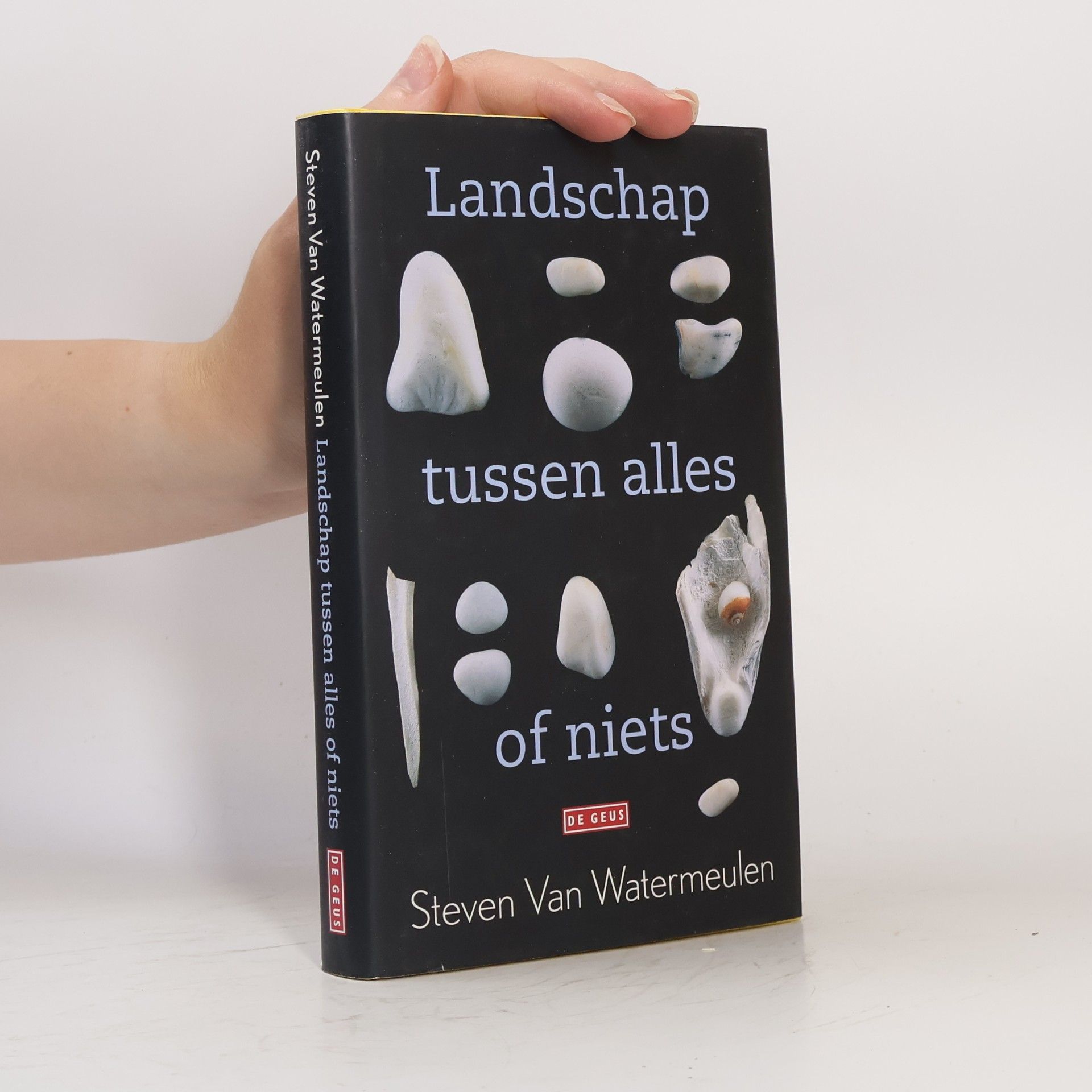 Steven Van Watermeulen Landschap tussen alles of niets