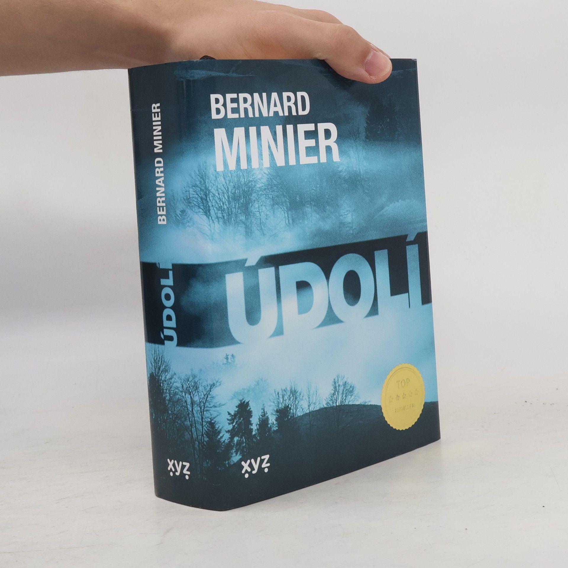 Bernard Minier Údolí