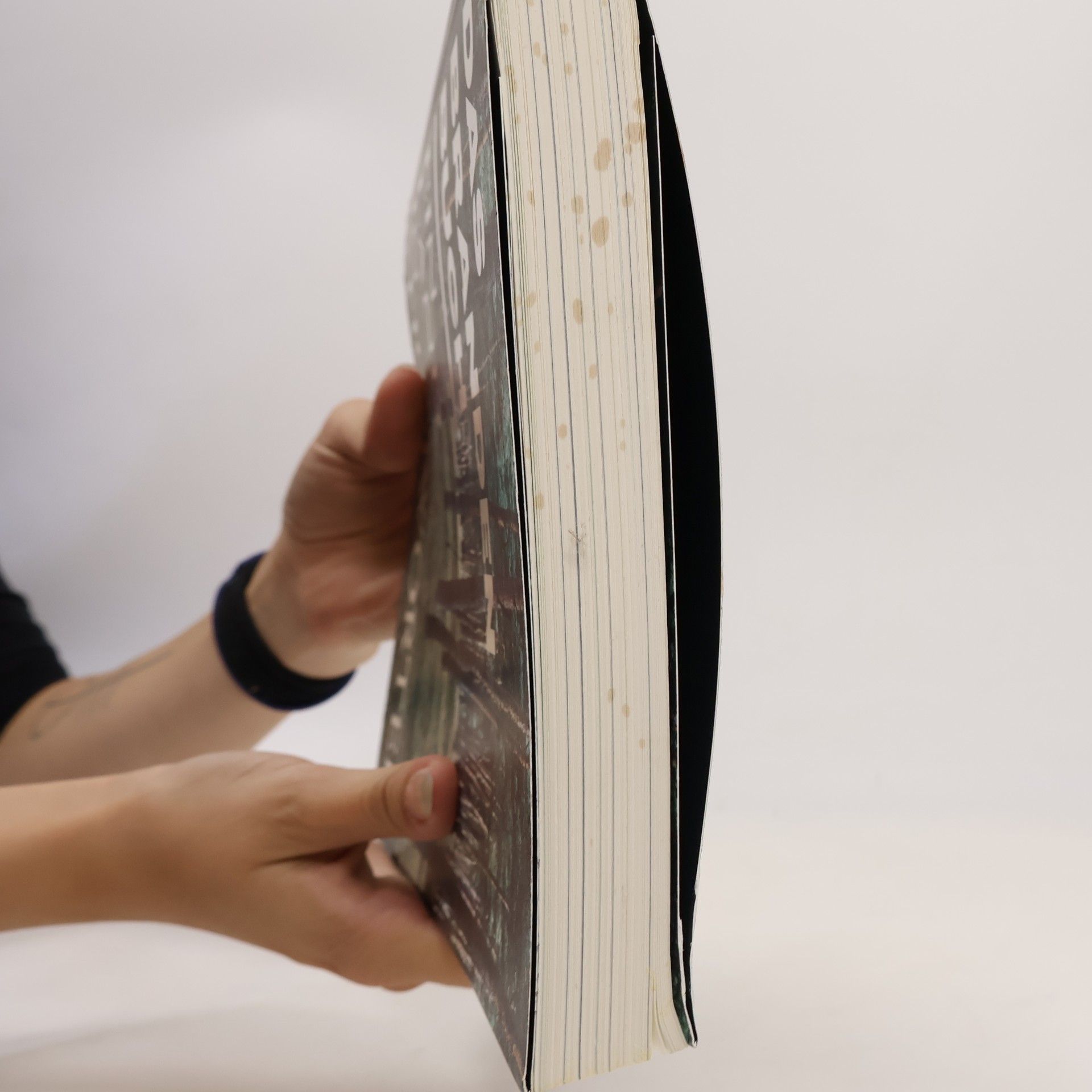 kolektiv Das Brandenbuch: Ein Land in Stichworten