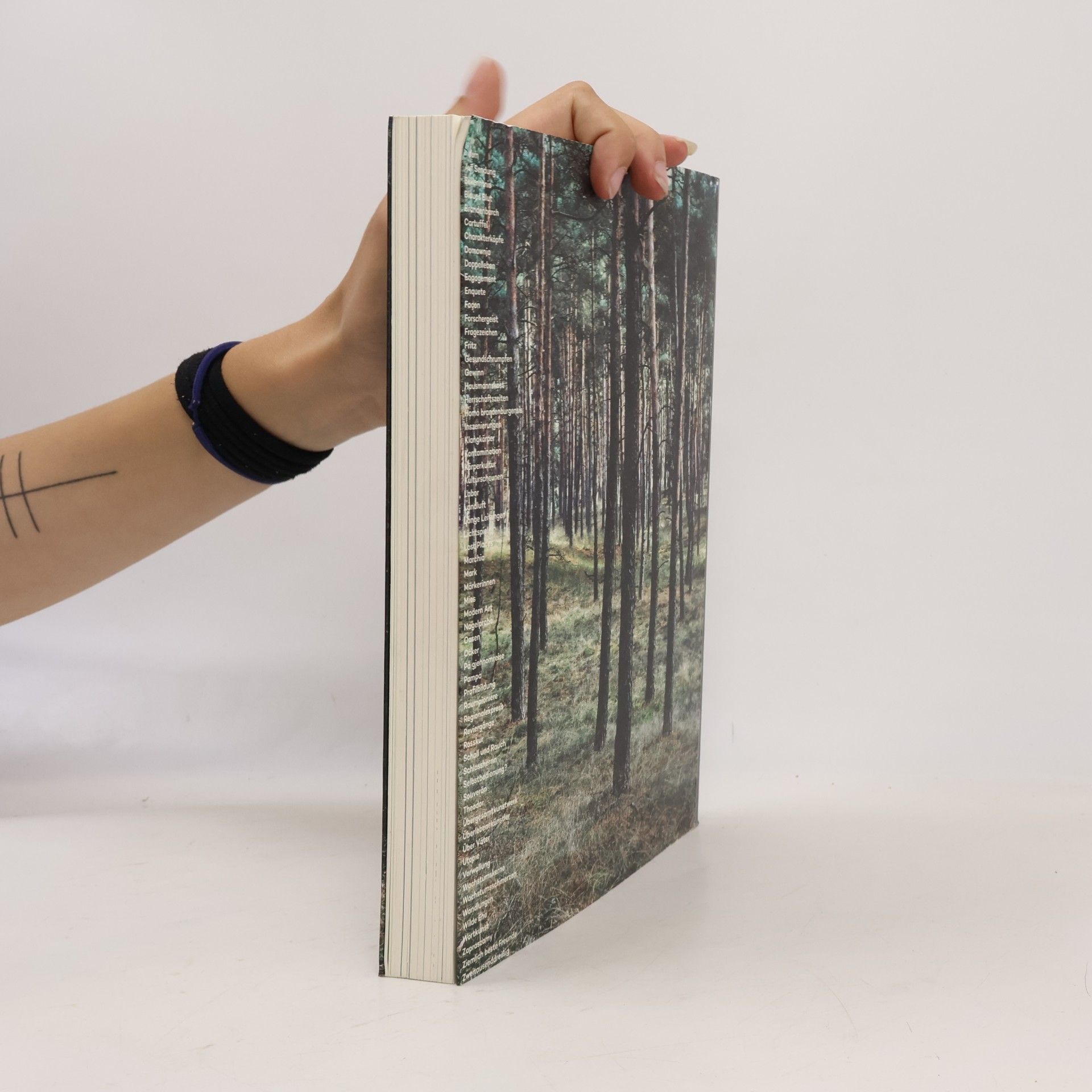 kolektiv Das Brandenbuch: Ein Land in Stichworten