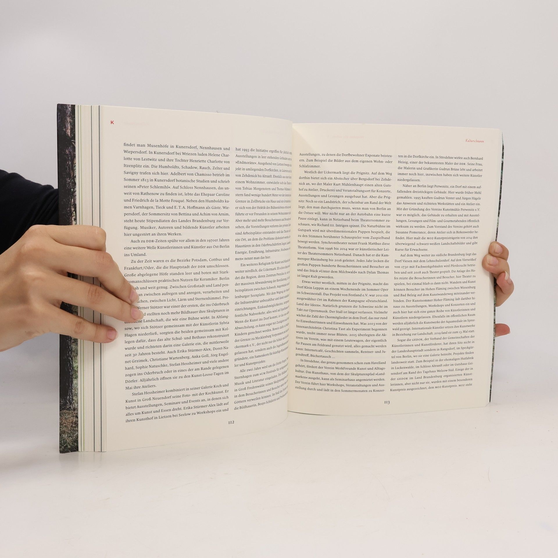 kolektiv Das Brandenbuch: Ein Land in Stichworten