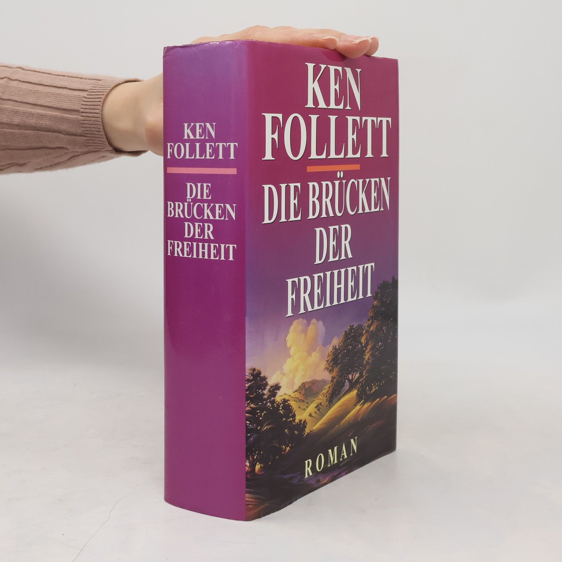 Ken Follett Die Brücken der Freiheit