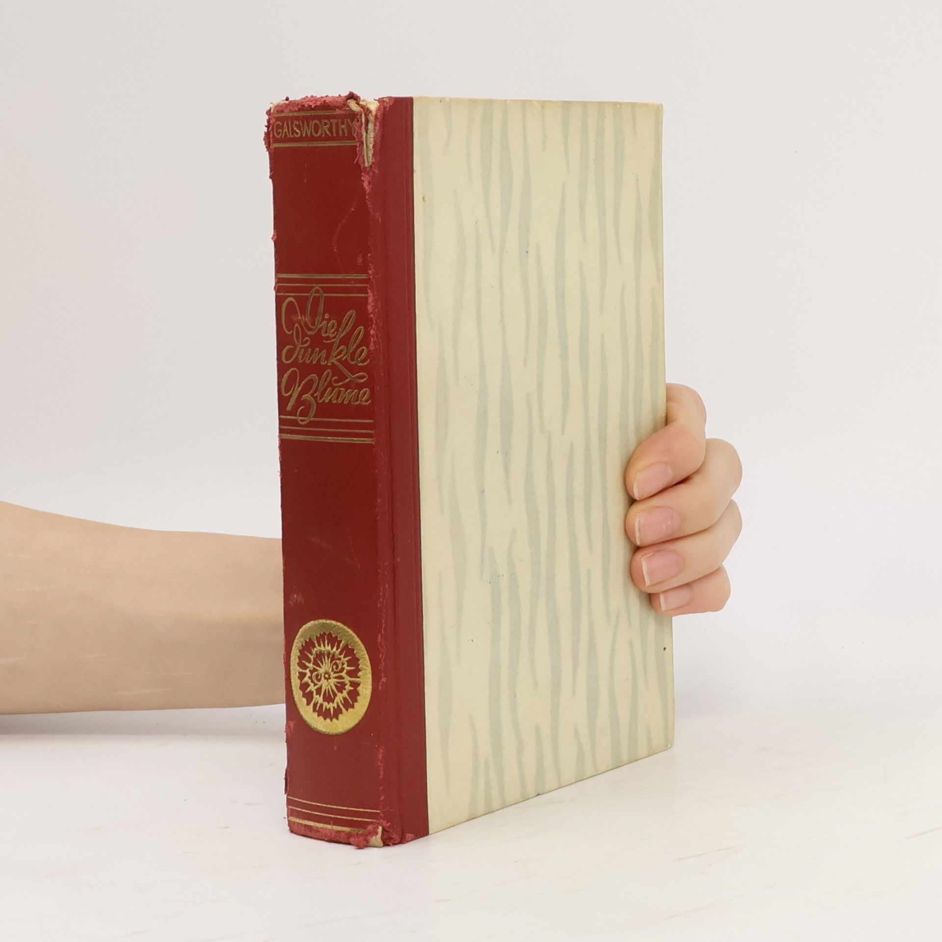 John Galsworthy Die Dunkle Blume