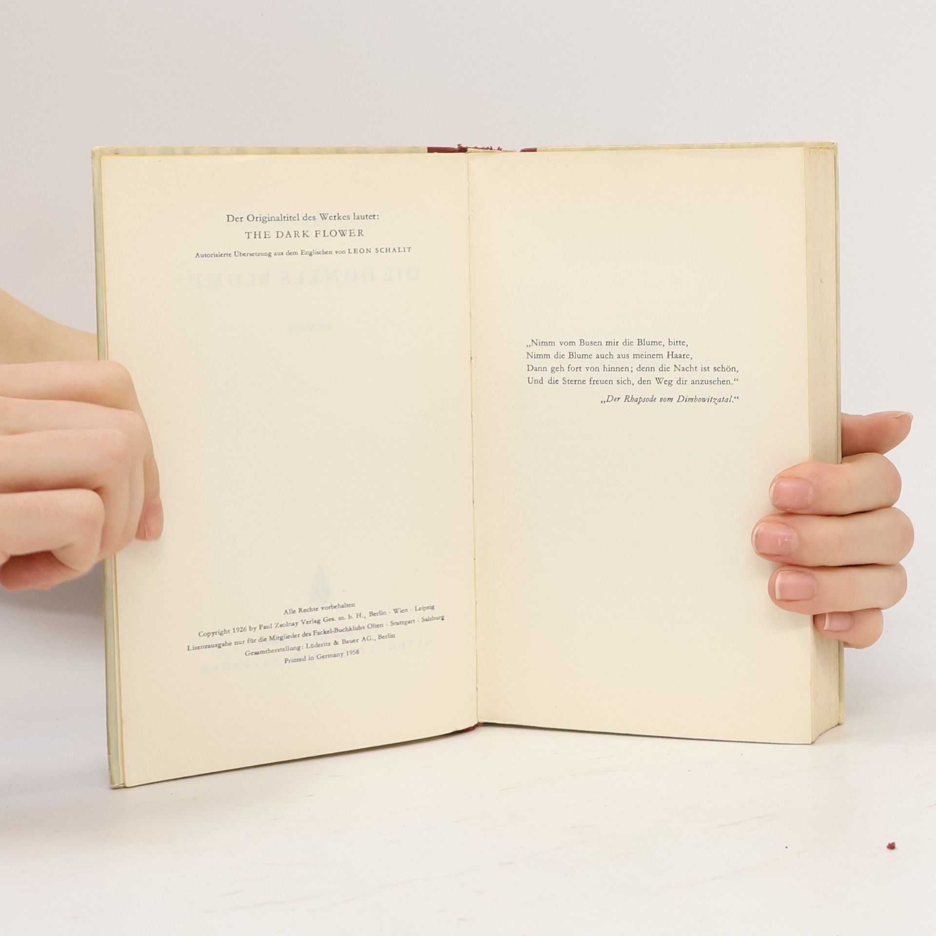 John Galsworthy Die Dunkle Blume