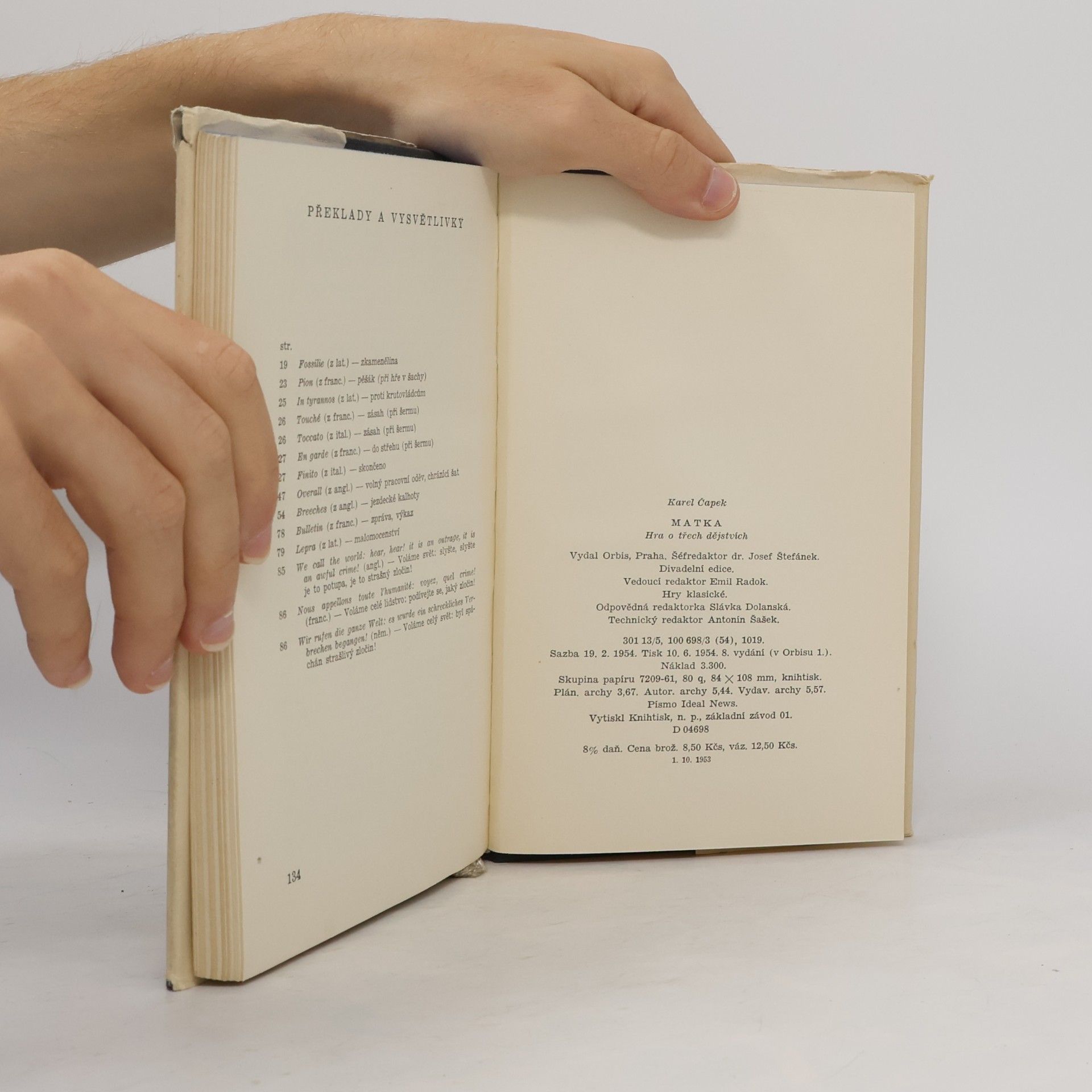 Karel Čapek Matka