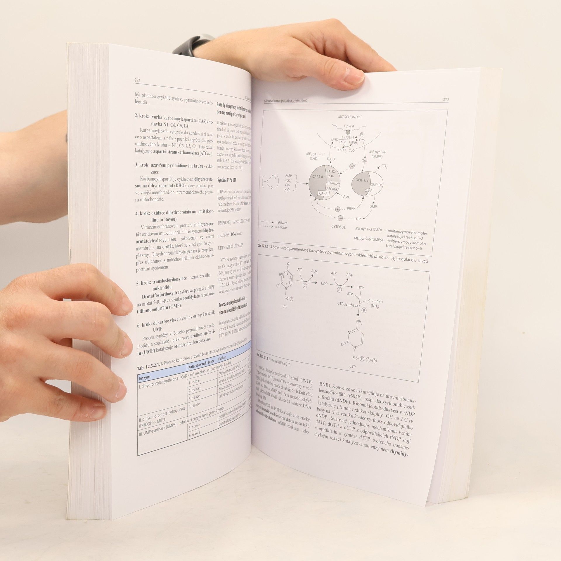Bohuslav Matouš Základy lékařské chemie a biochemie