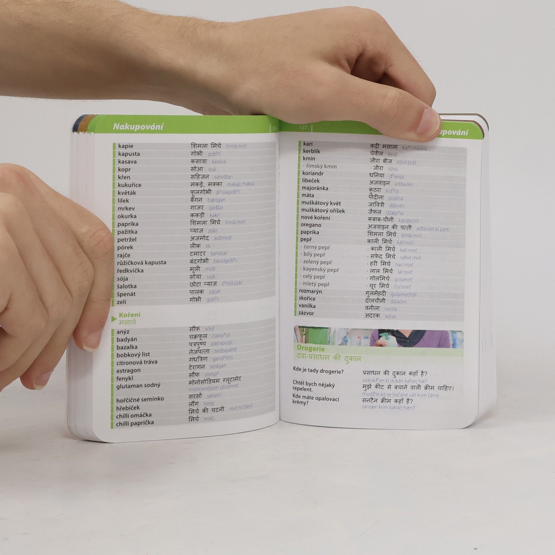 Autores varios Hindština - konverzace se slovníkem a gramatikou
