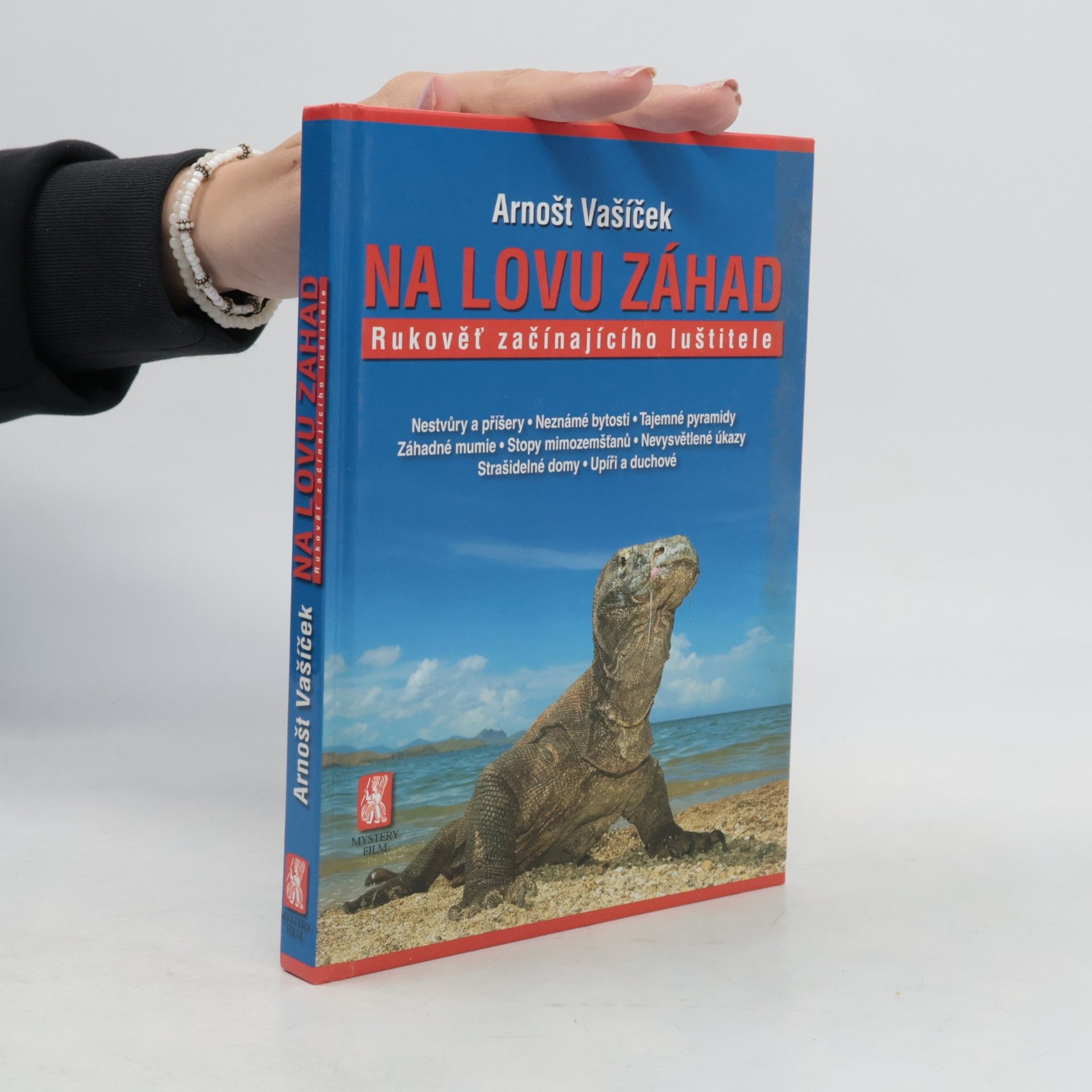Na lovu záhad. Rukověť začínajícího luštitele