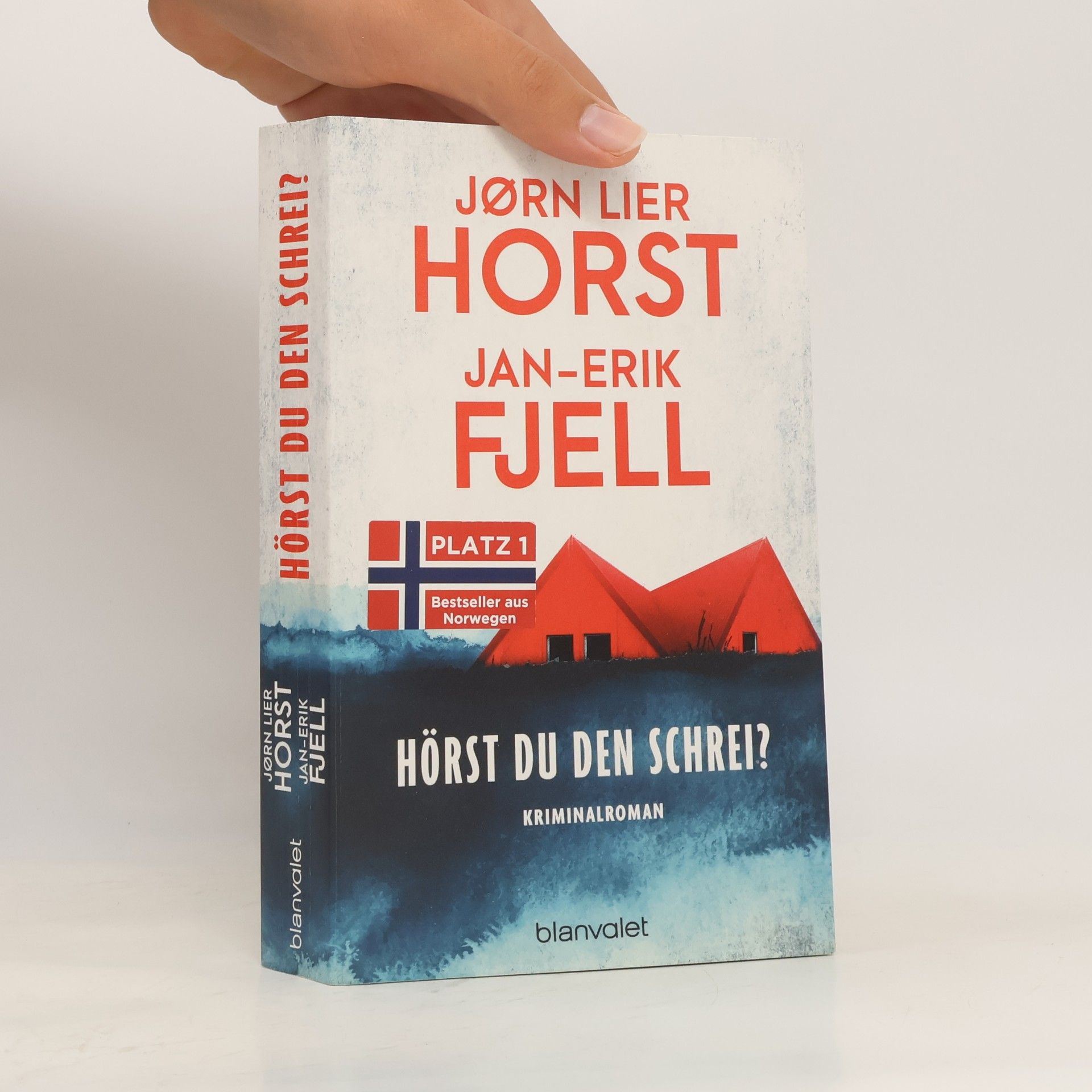 Jan-Erik Fjell Hörst du den Schrei?