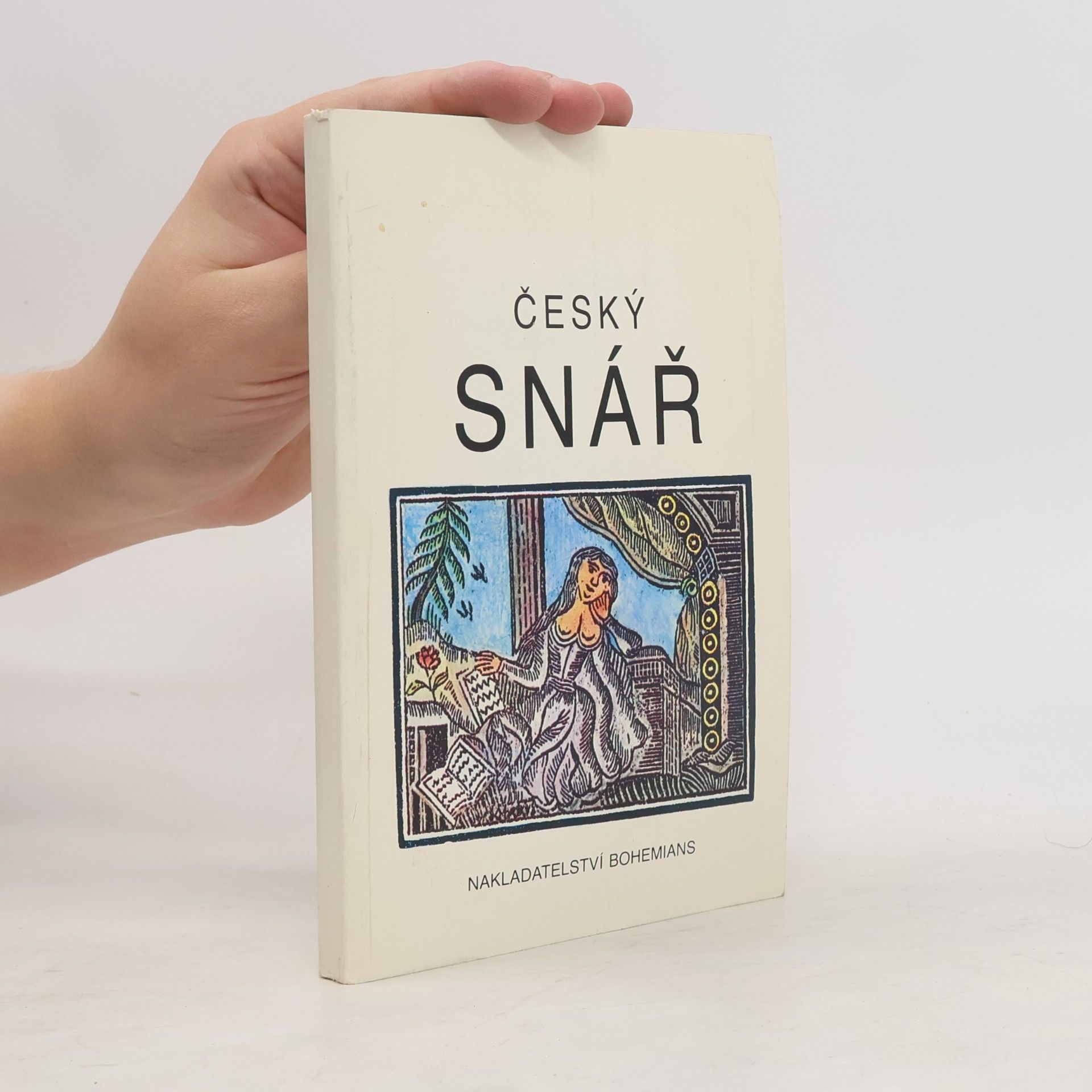 Český snář