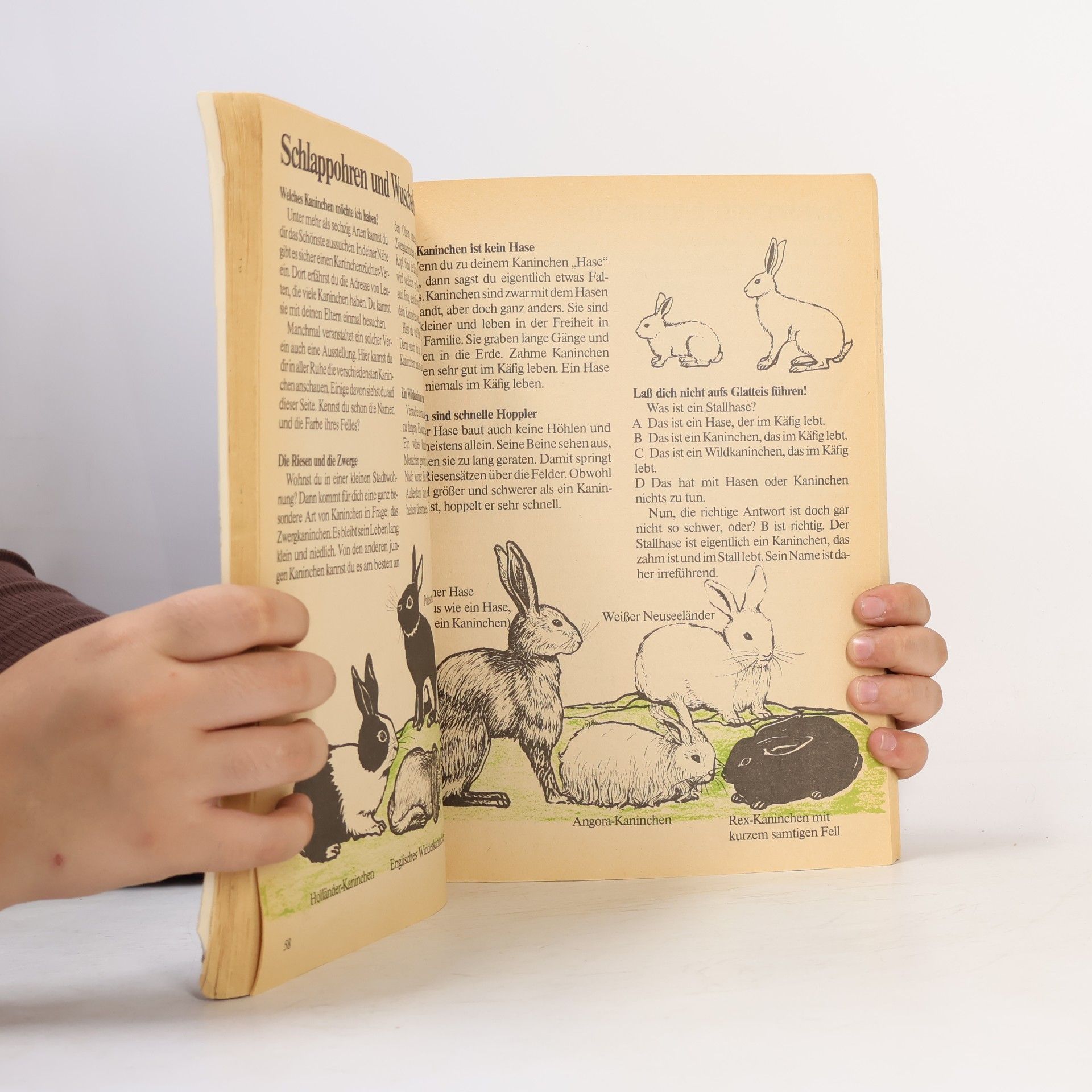 Autorenkollektiv Tiere für Kinder