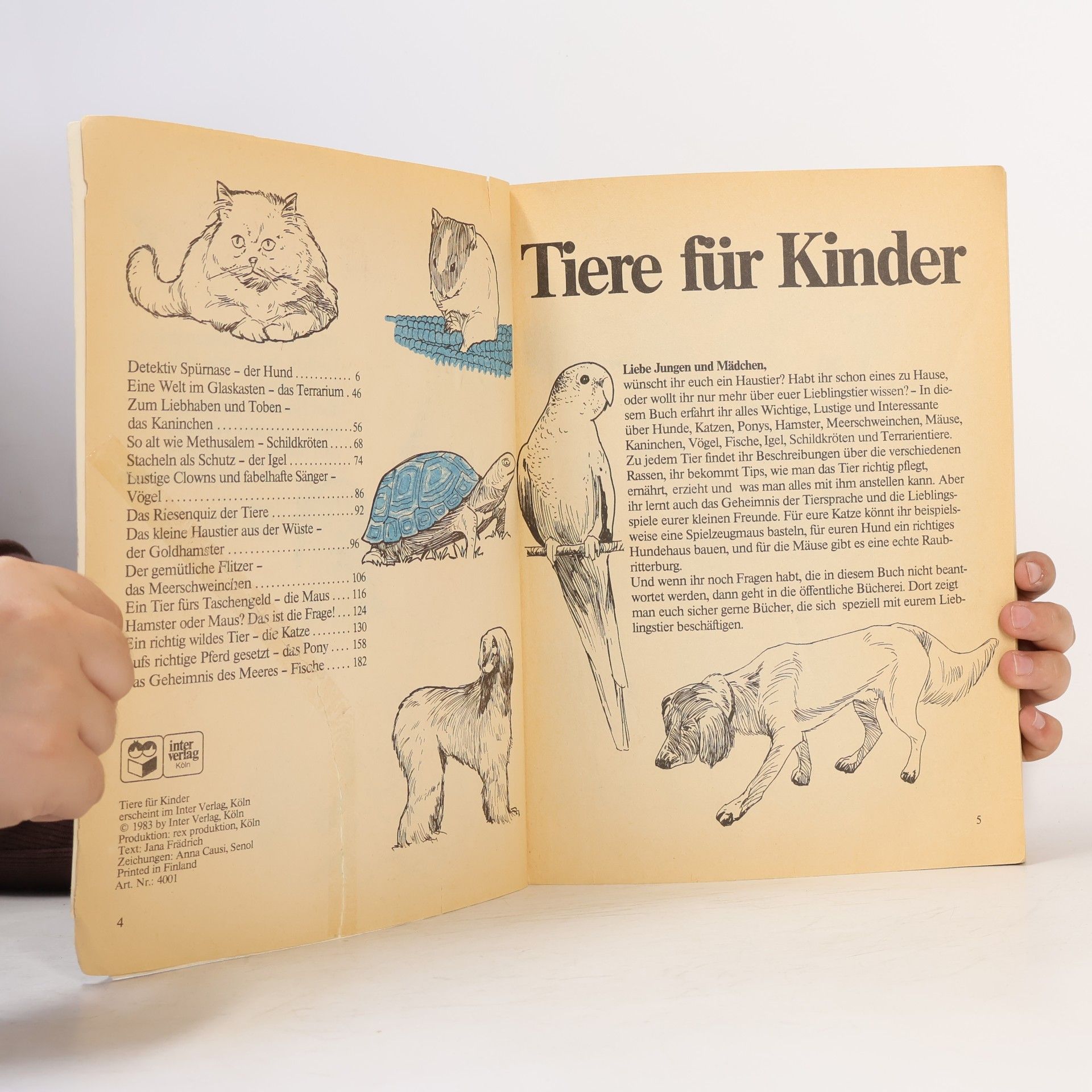 Autorenkollektiv Tiere für Kinder