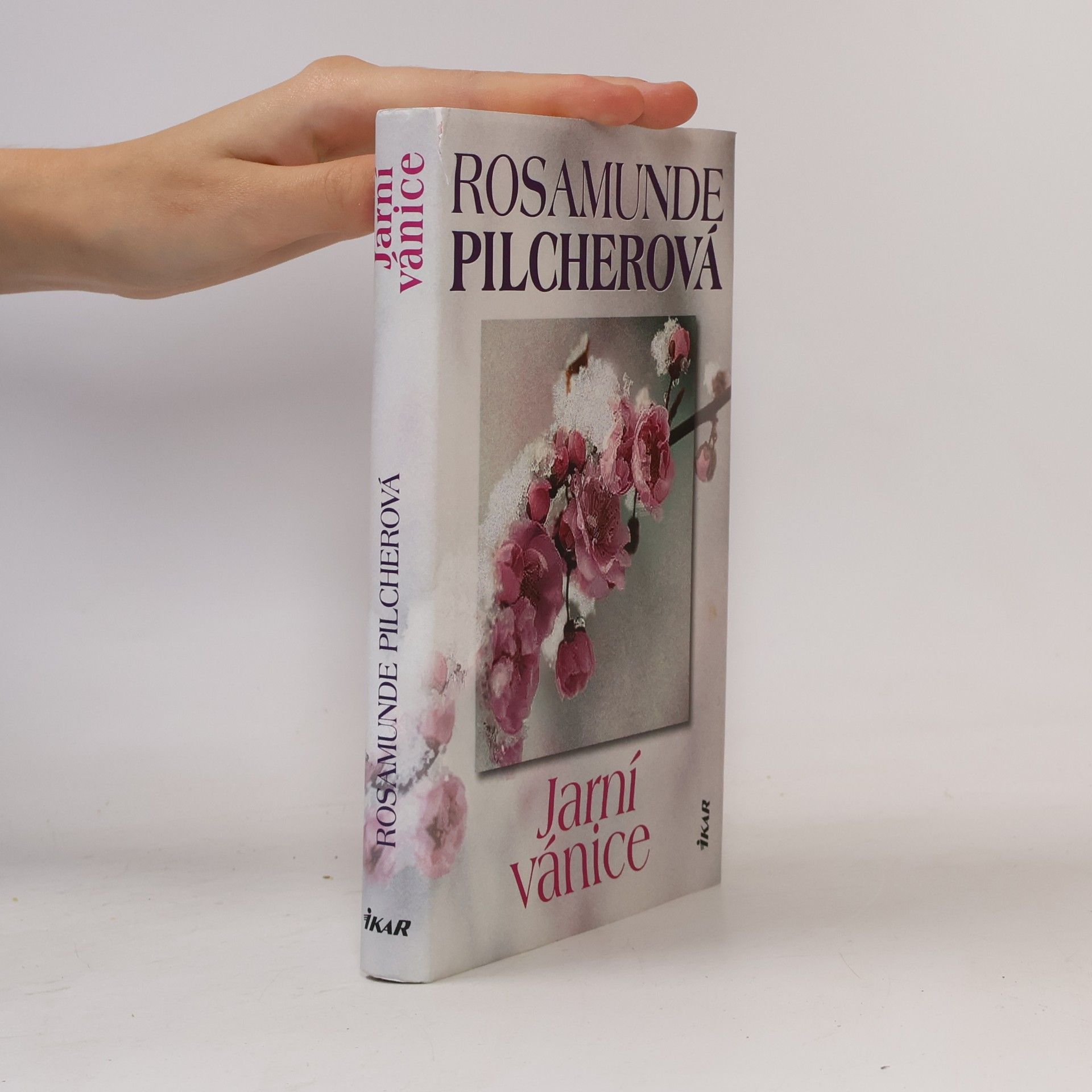 Rosamunde Pilcher Jarní vánice