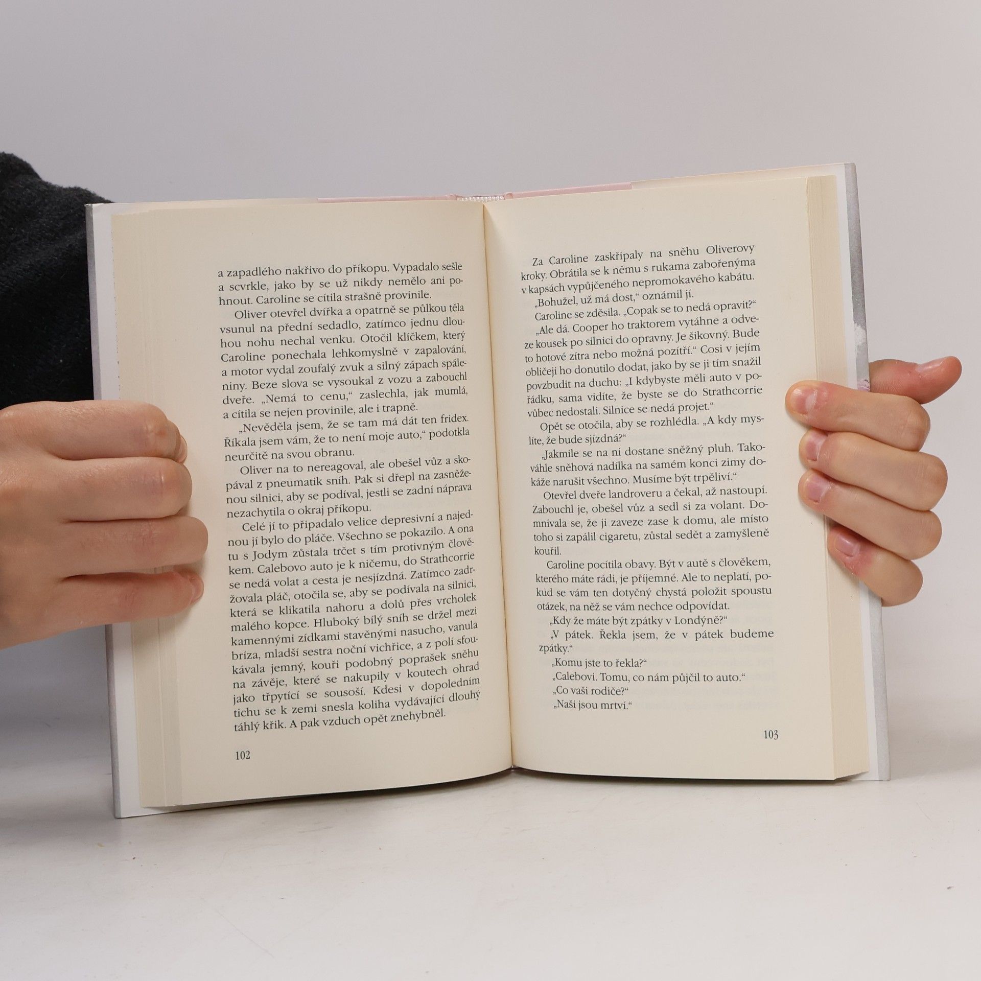 Rosamunde Pilcher Jarní vánice