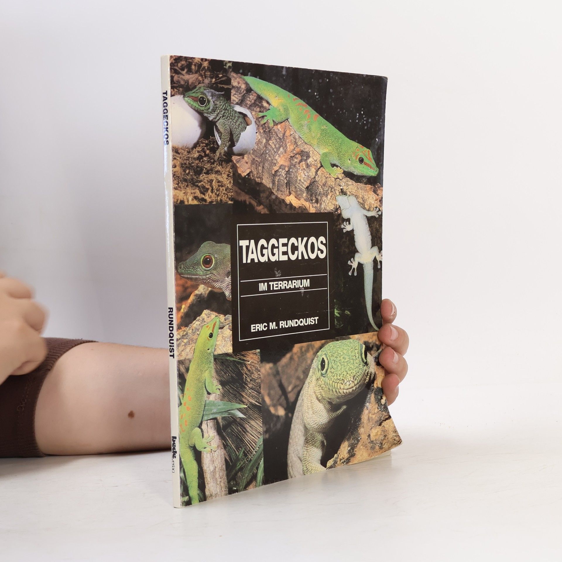 Eric M. Rundquist Taggeckos im Terrarium