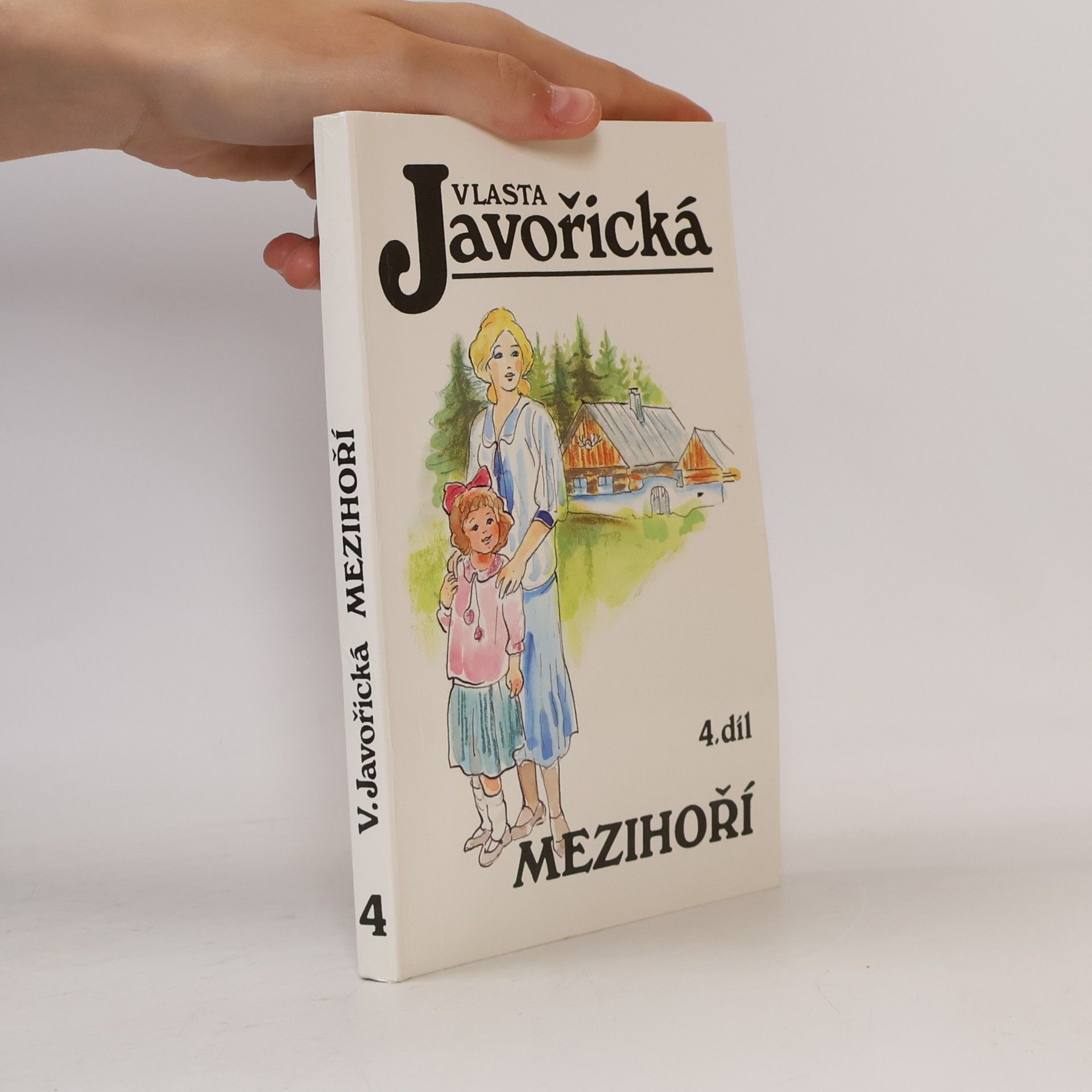 Mezihoří 4