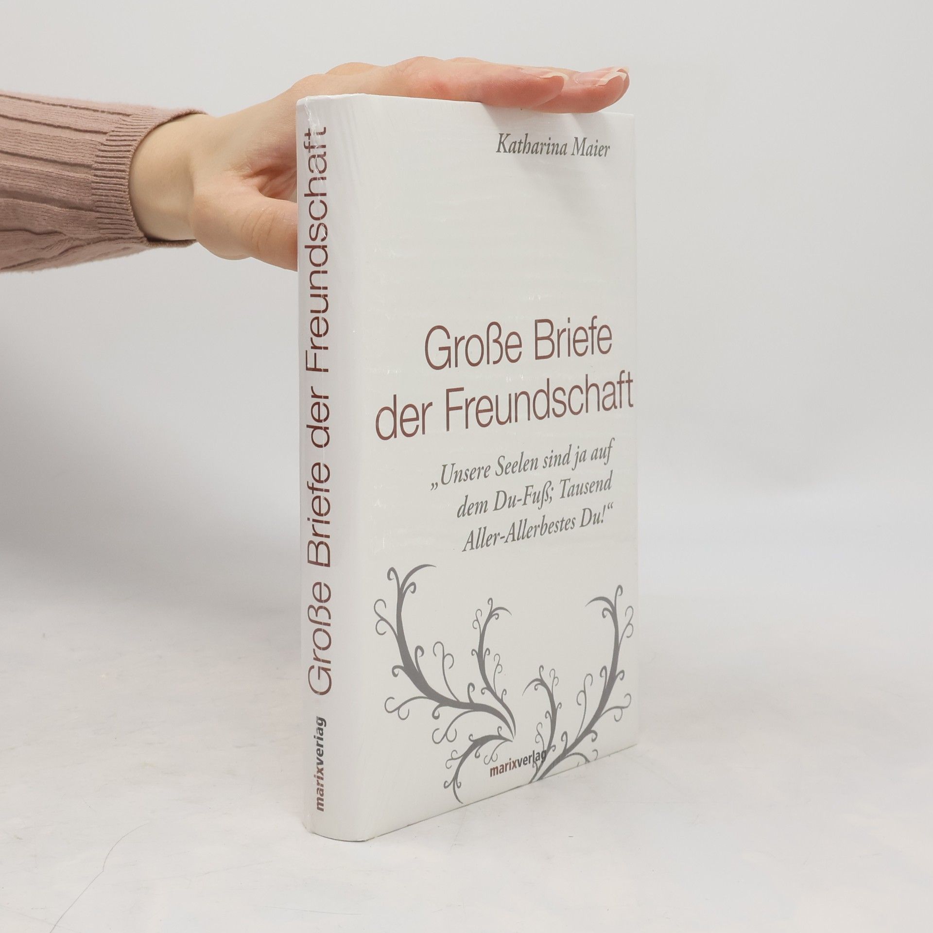Katharina Maier Große Briefe der Freundschaft