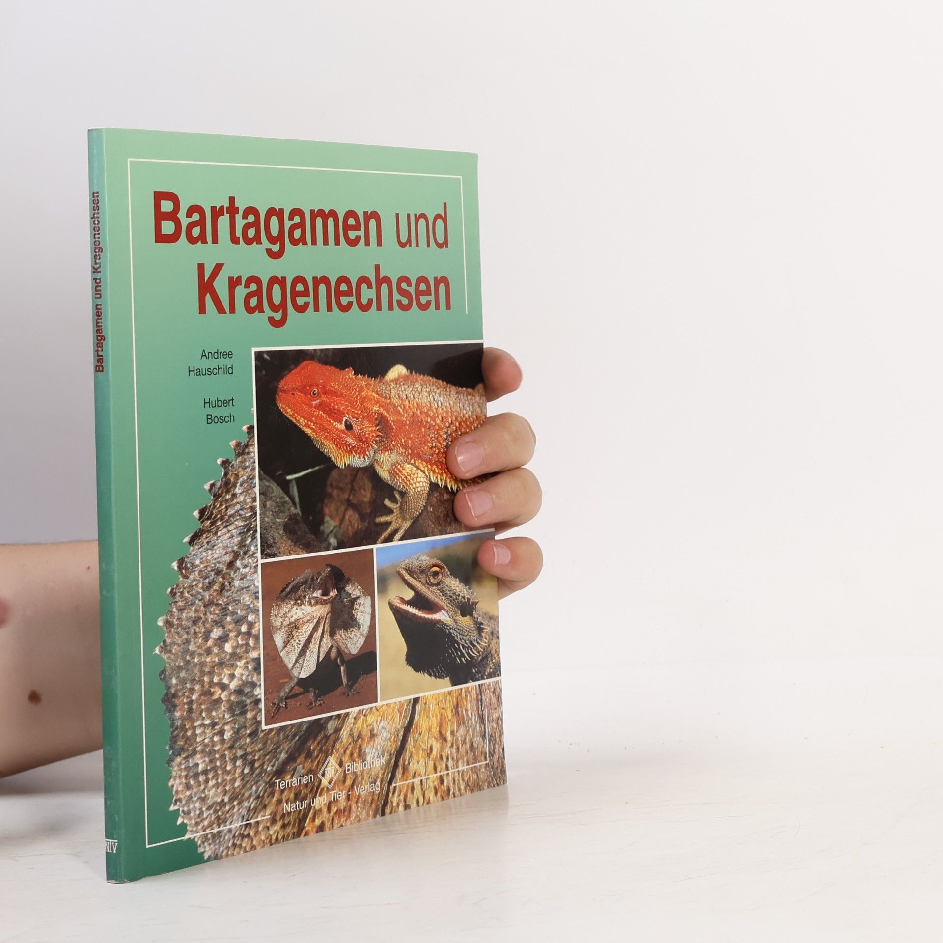 Bartagamen und Kragenechsen
