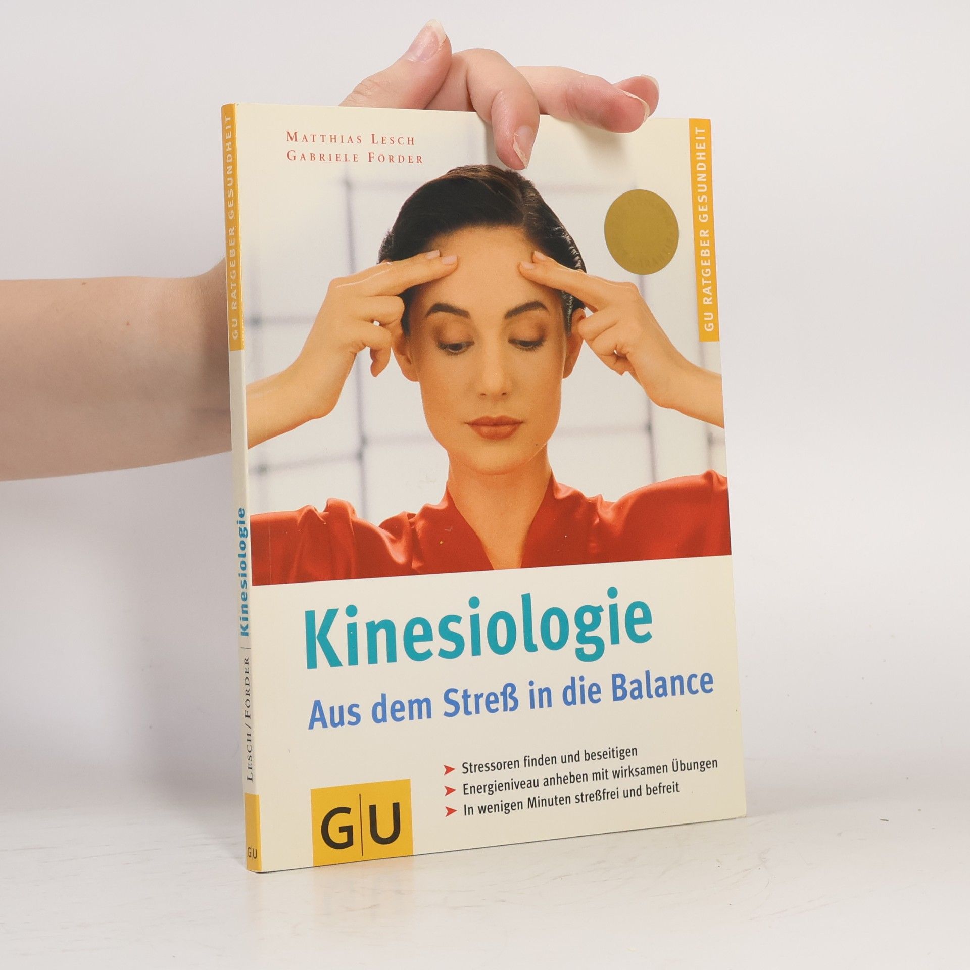 Matthias Lesch Kinesiologie. Aus dem Streß in die Balance