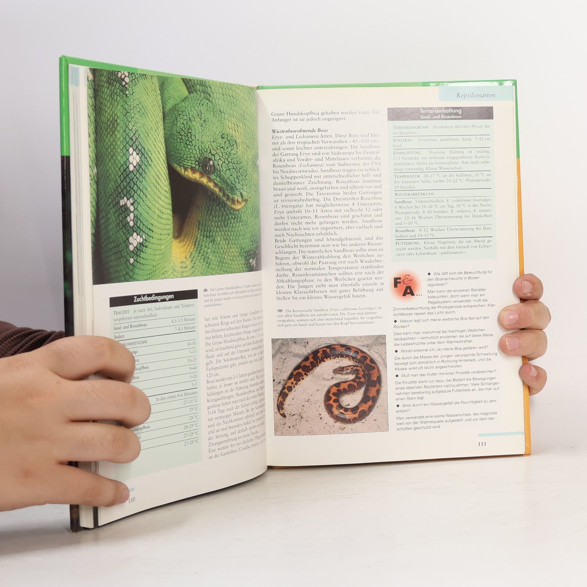 Robert Davies Das BLV-Terrarien-Buch