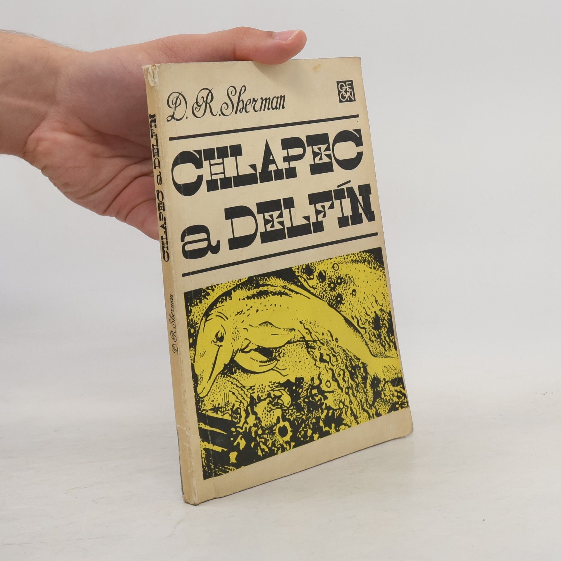 Chlapec a delfín