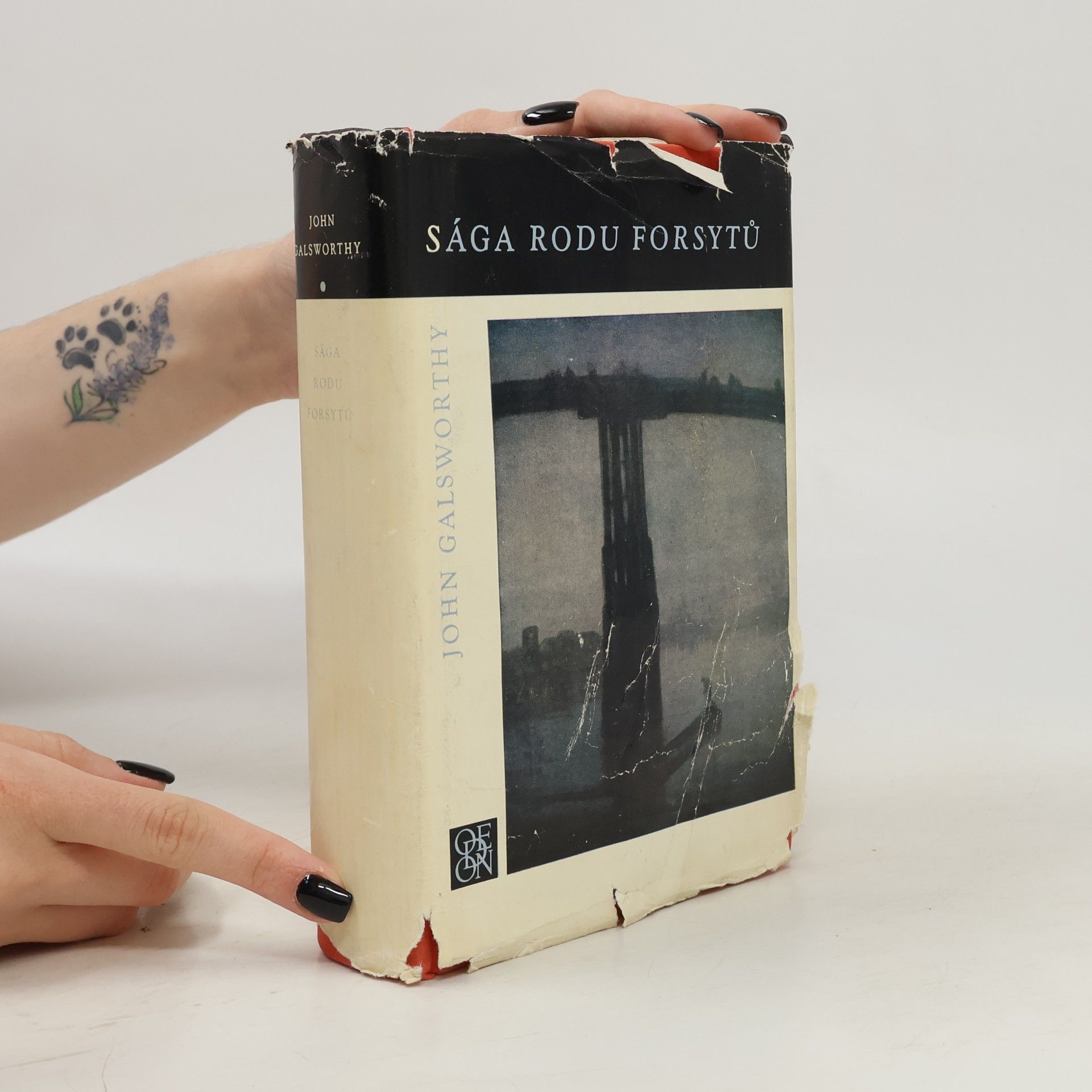 John Galsworthy Sága rodu Forsytů