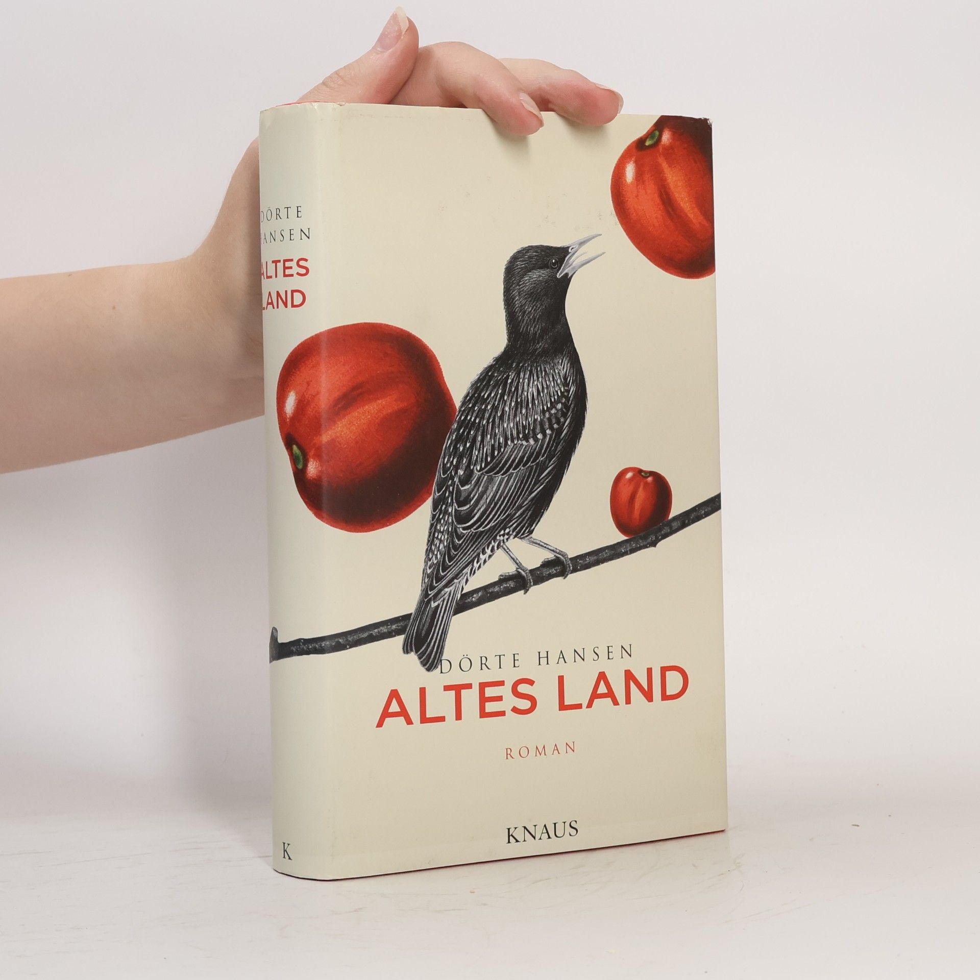 Dörte Hansen Altes Land