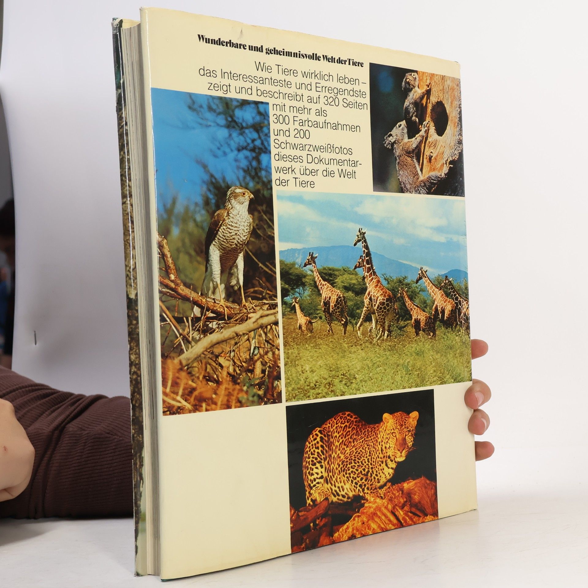 Autorenkollektiv Wunderbare und geheimnisvolle Welt der Tiere