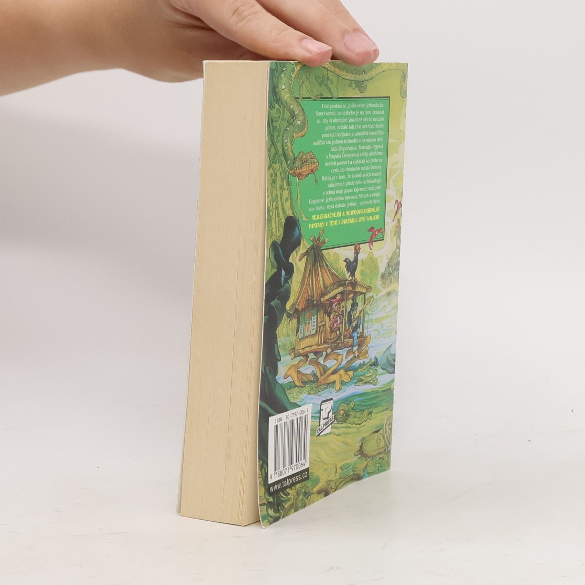 Terry Pratchett Čarodějky na cestách