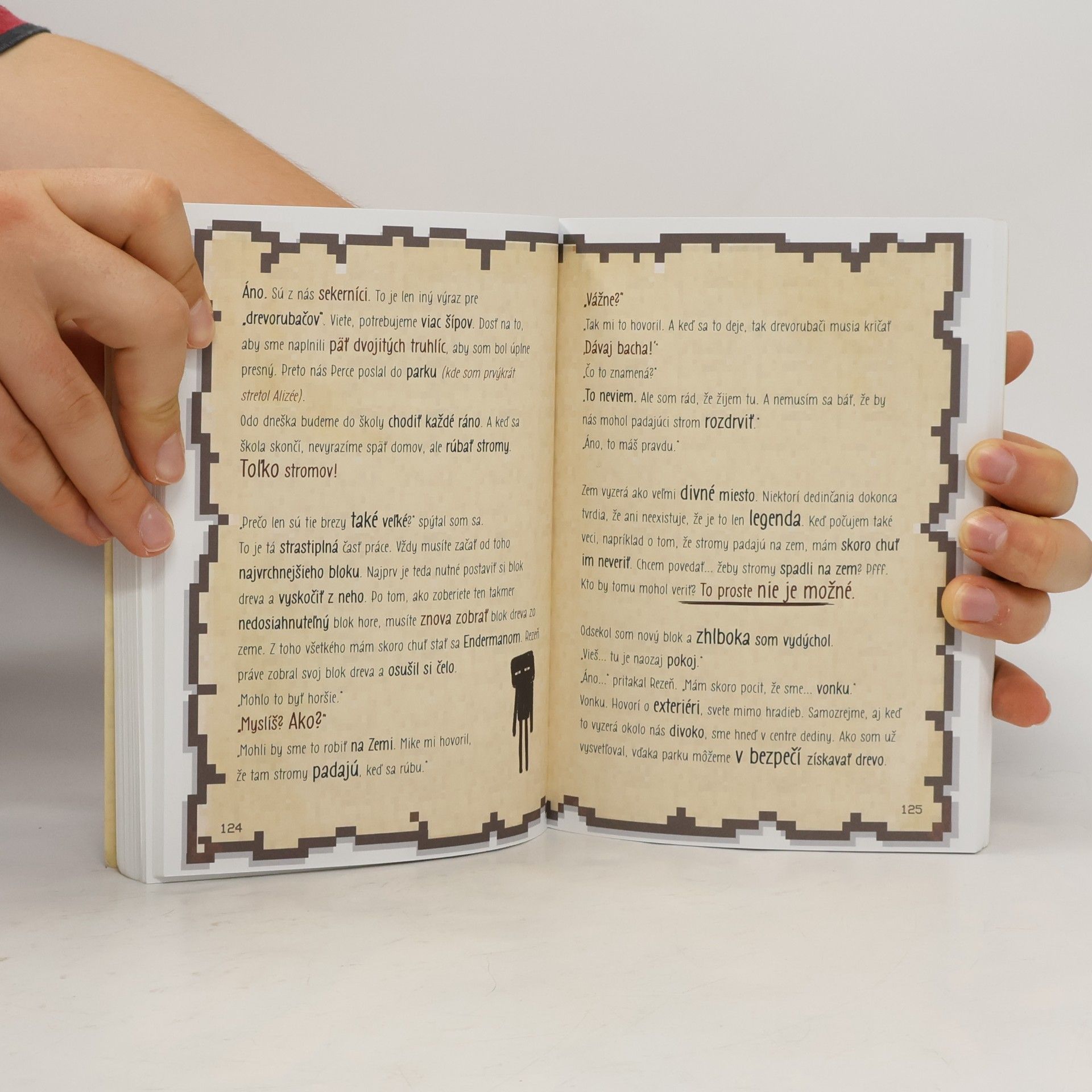 Various authors Denník malého minecrafťáka 3
