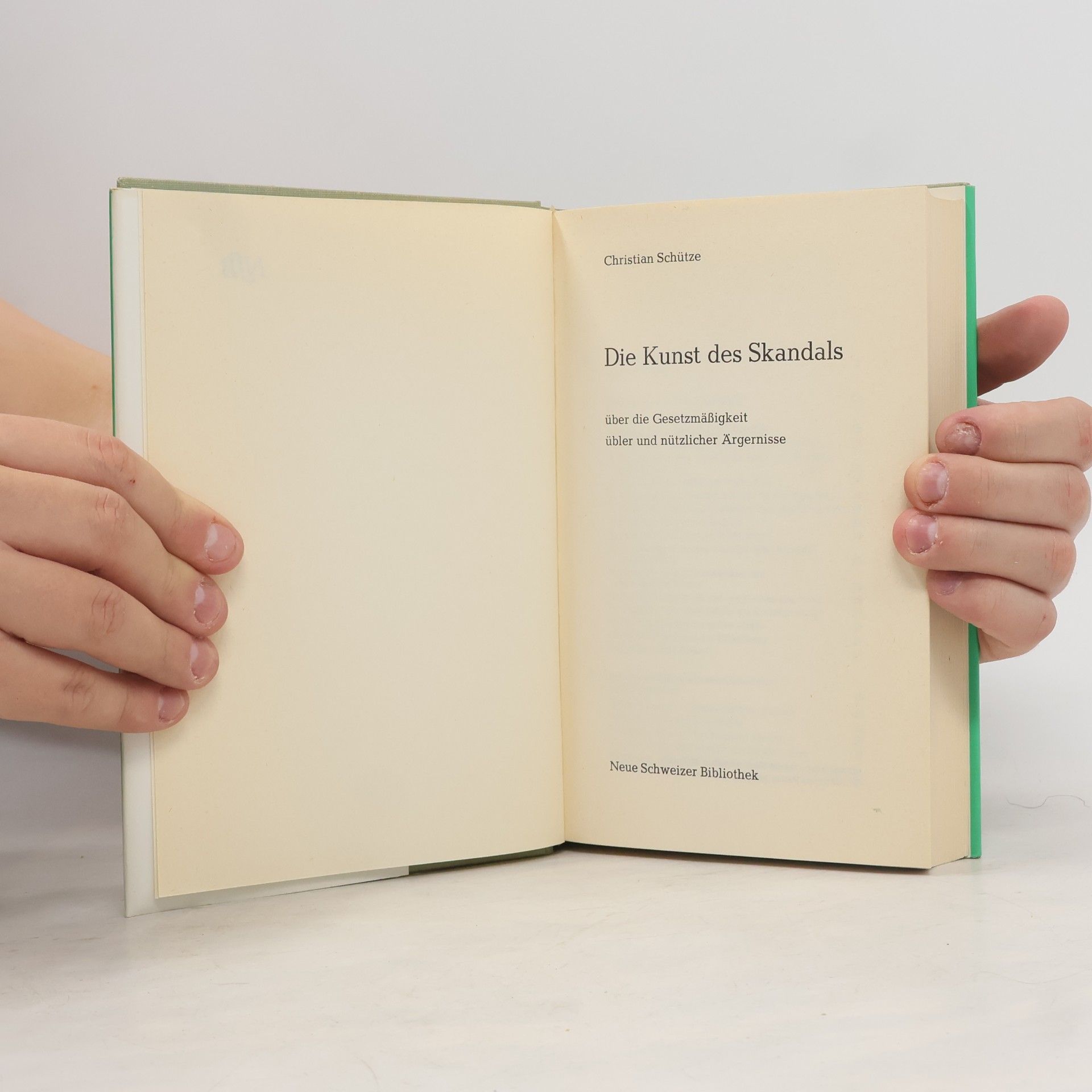 Christian Schütze Die Kunst des Skandals