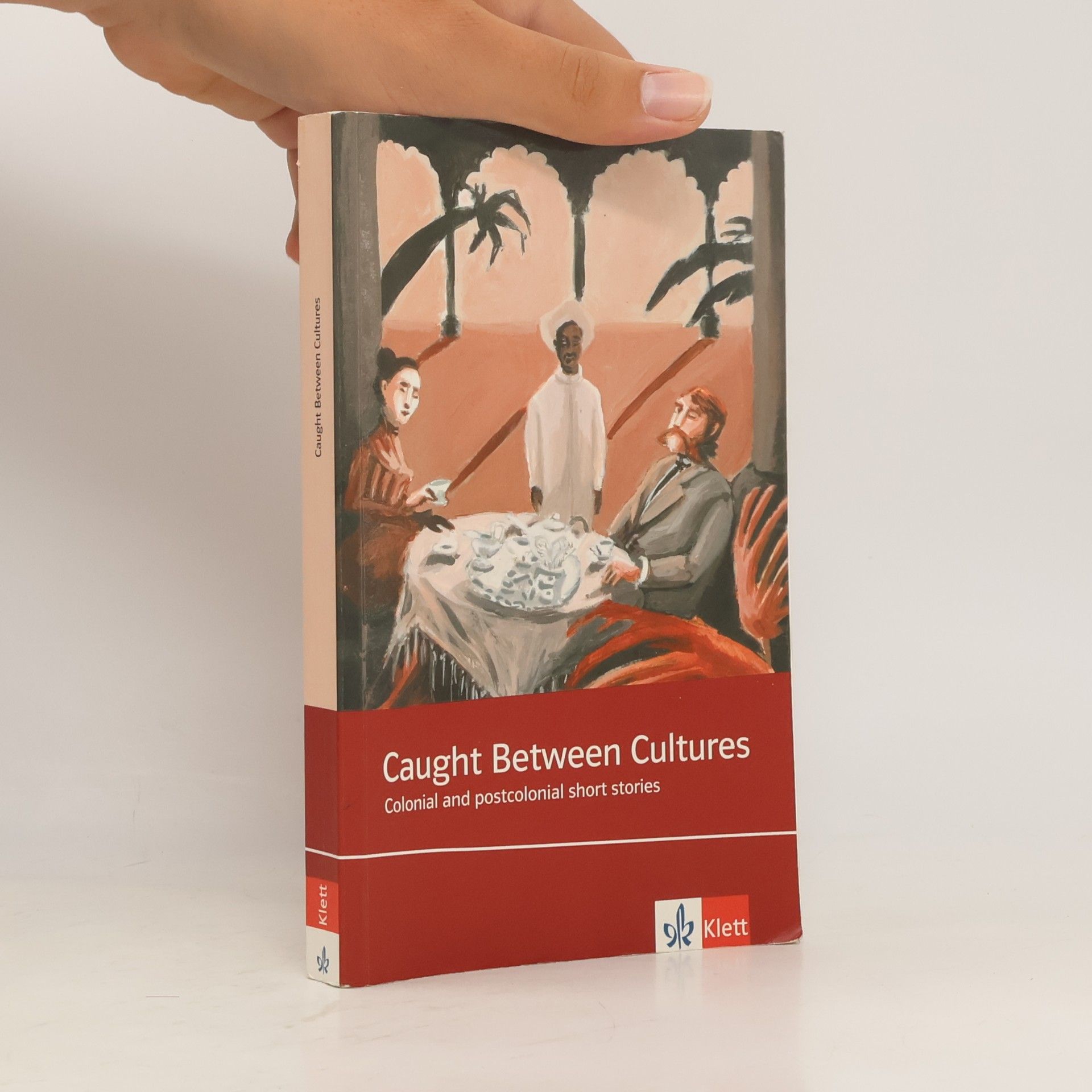 Kolektív autorov Caught between Cultures