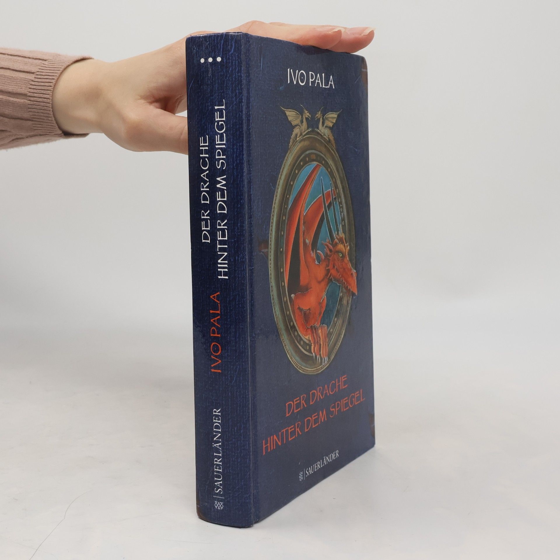 Ivo Pala Der Drache hinter dem Spiegel