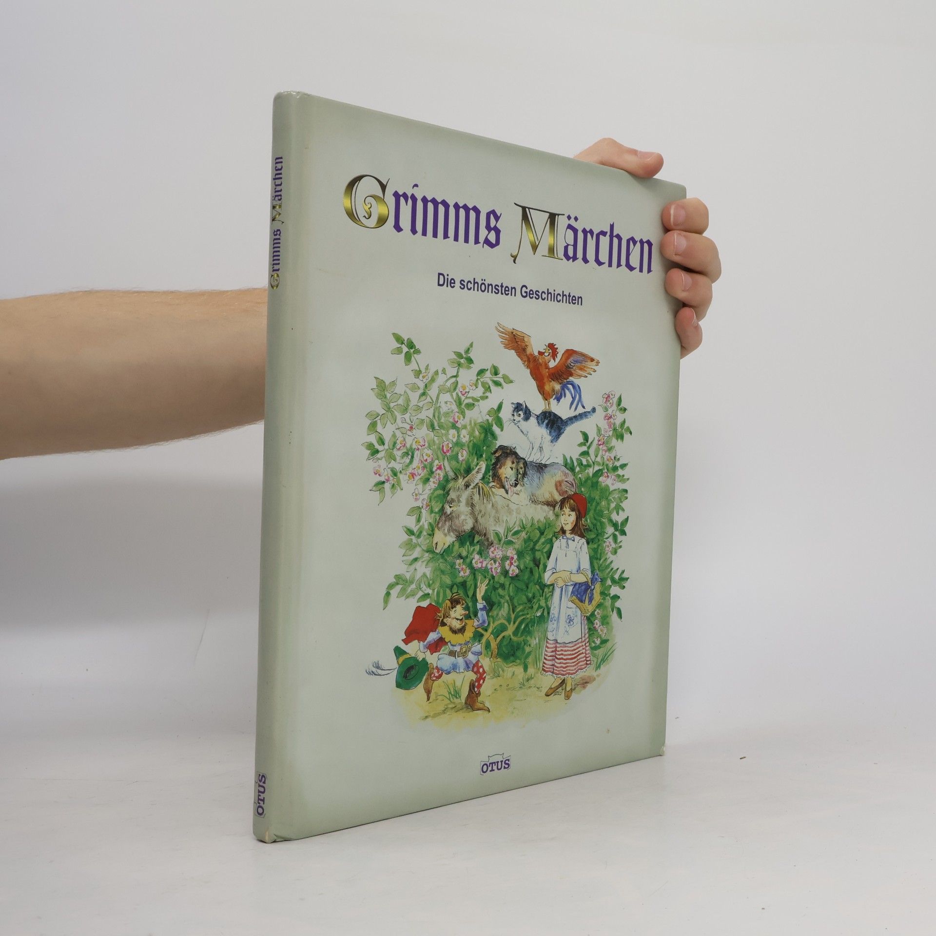 Autores varios Grimms Märchen