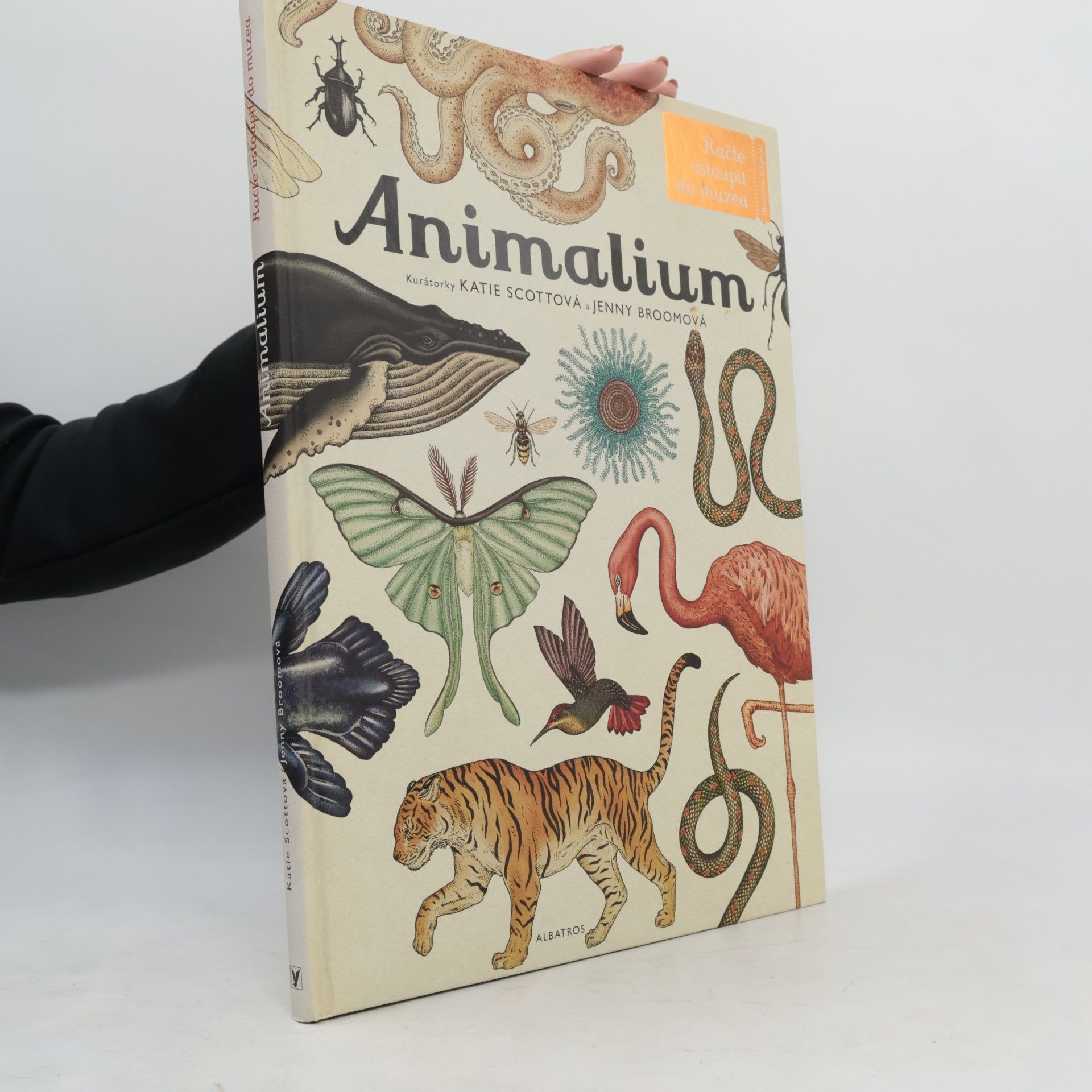 Jenny Broom Animalium