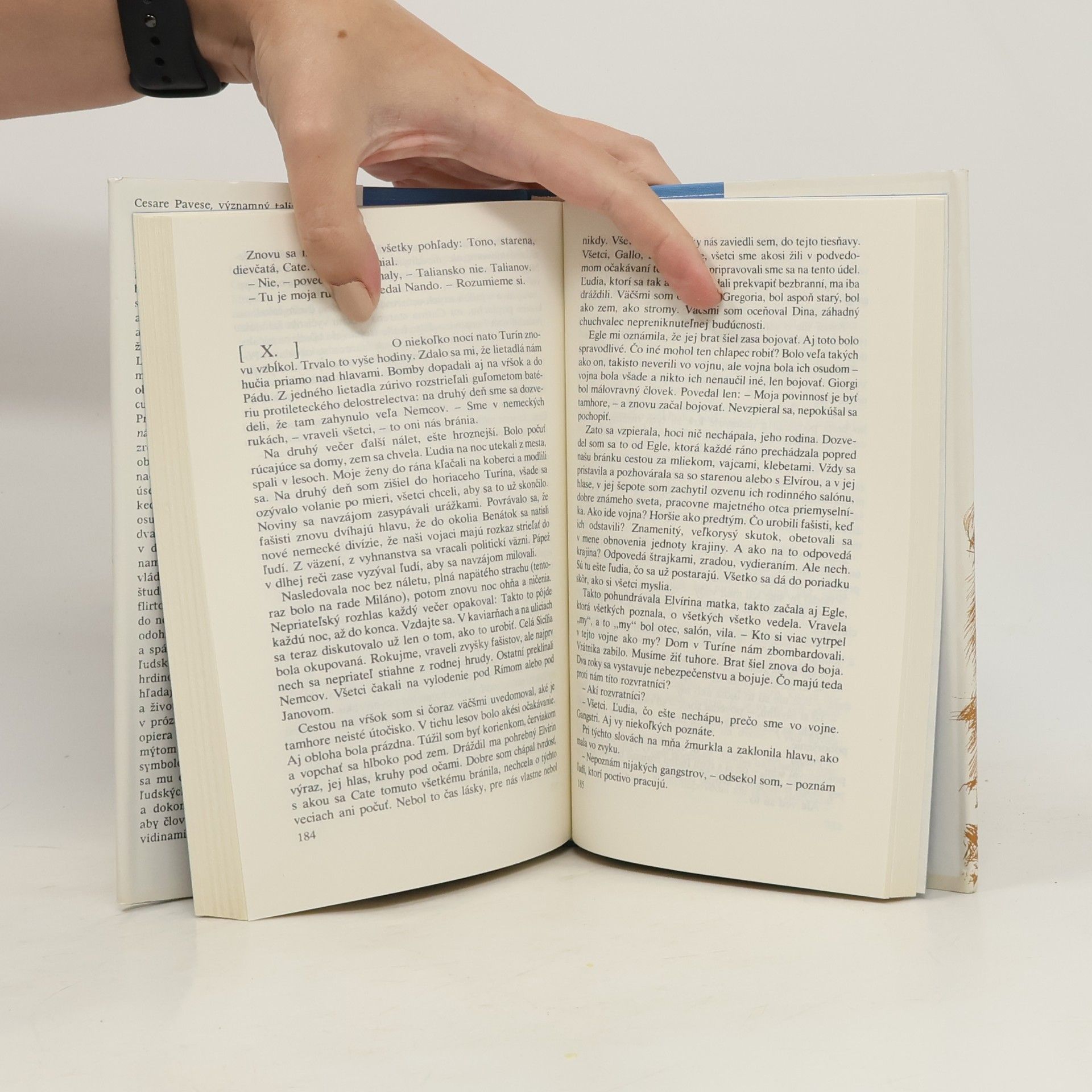 Cesare Pavese Diabol na vrškoch