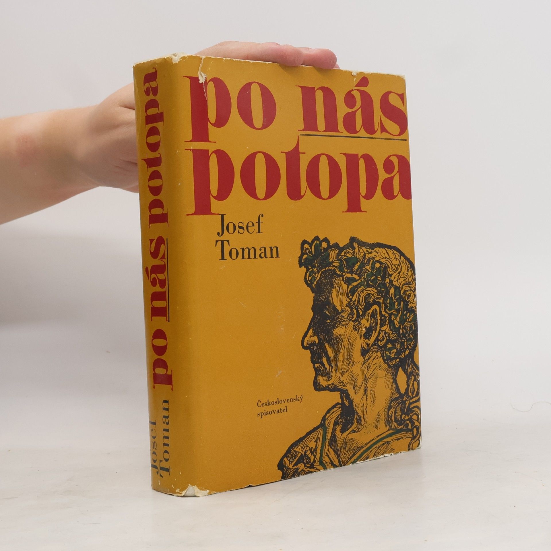 Josef Toman Po nás potopa