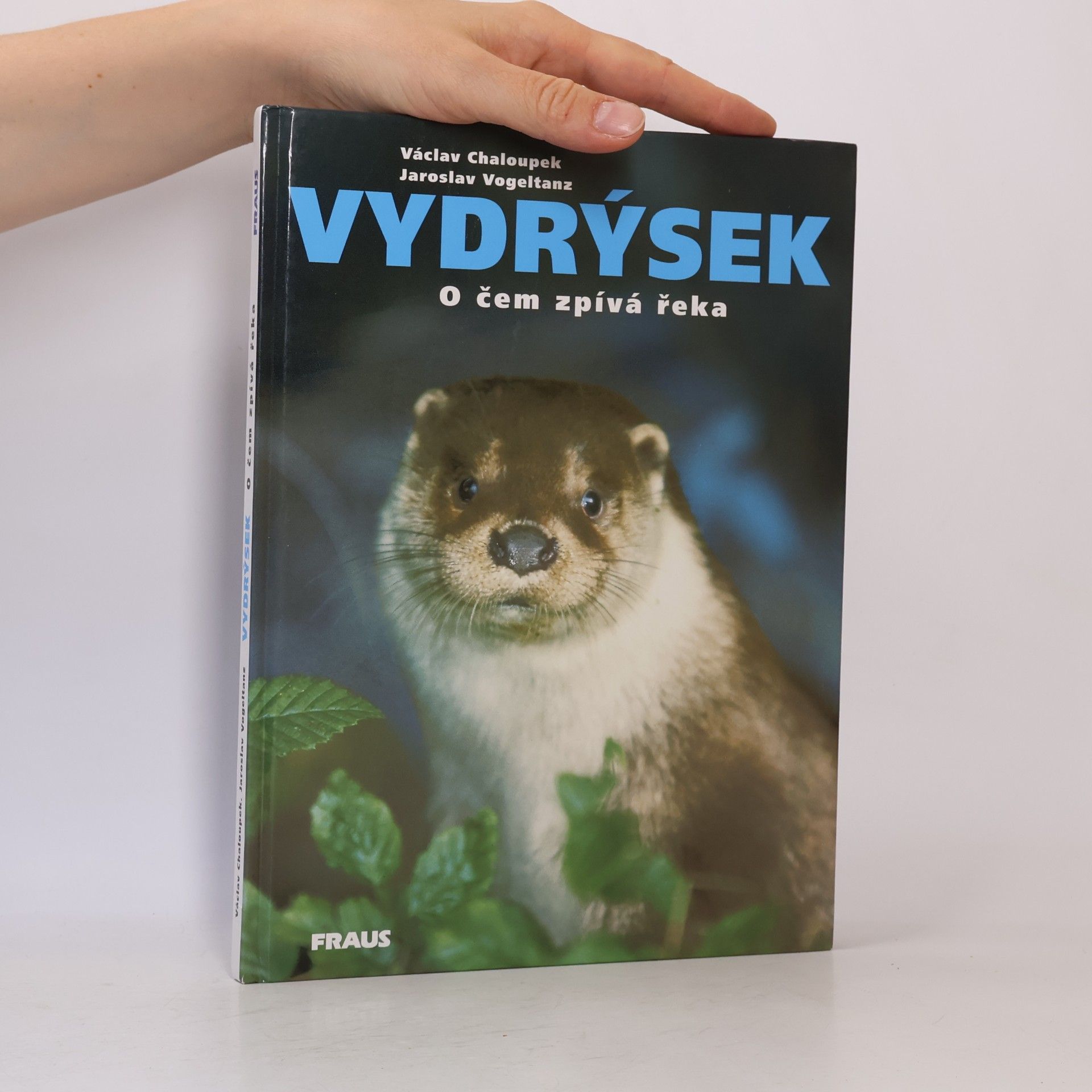 Jaroslav Vogeltanz Vydrýsek. O čem zpívá řeka